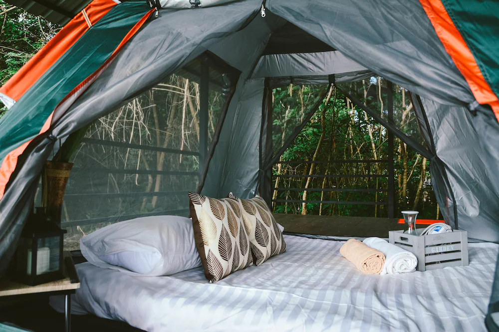 Elephant Jungle Sanctuary