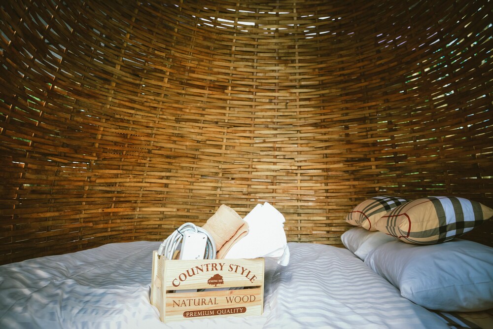 Elephant Jungle Sanctuary