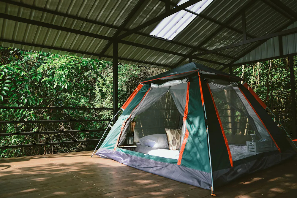 Elephant Jungle Sanctuary