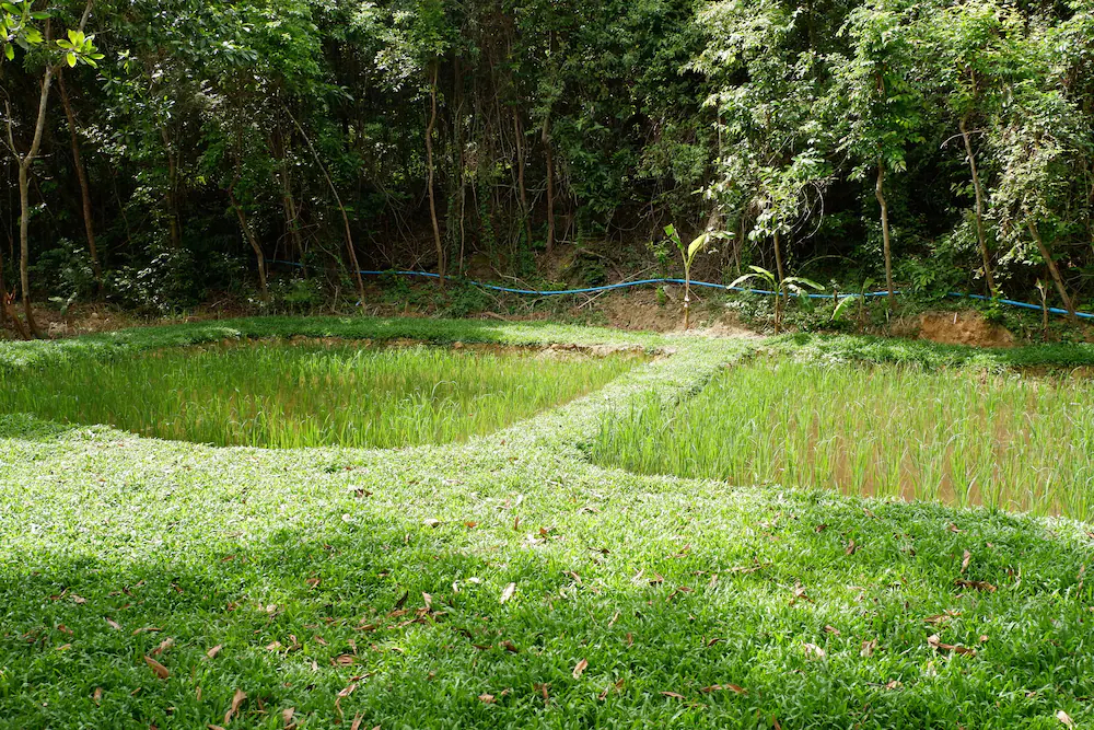 Elephant Jungle Sanctuary