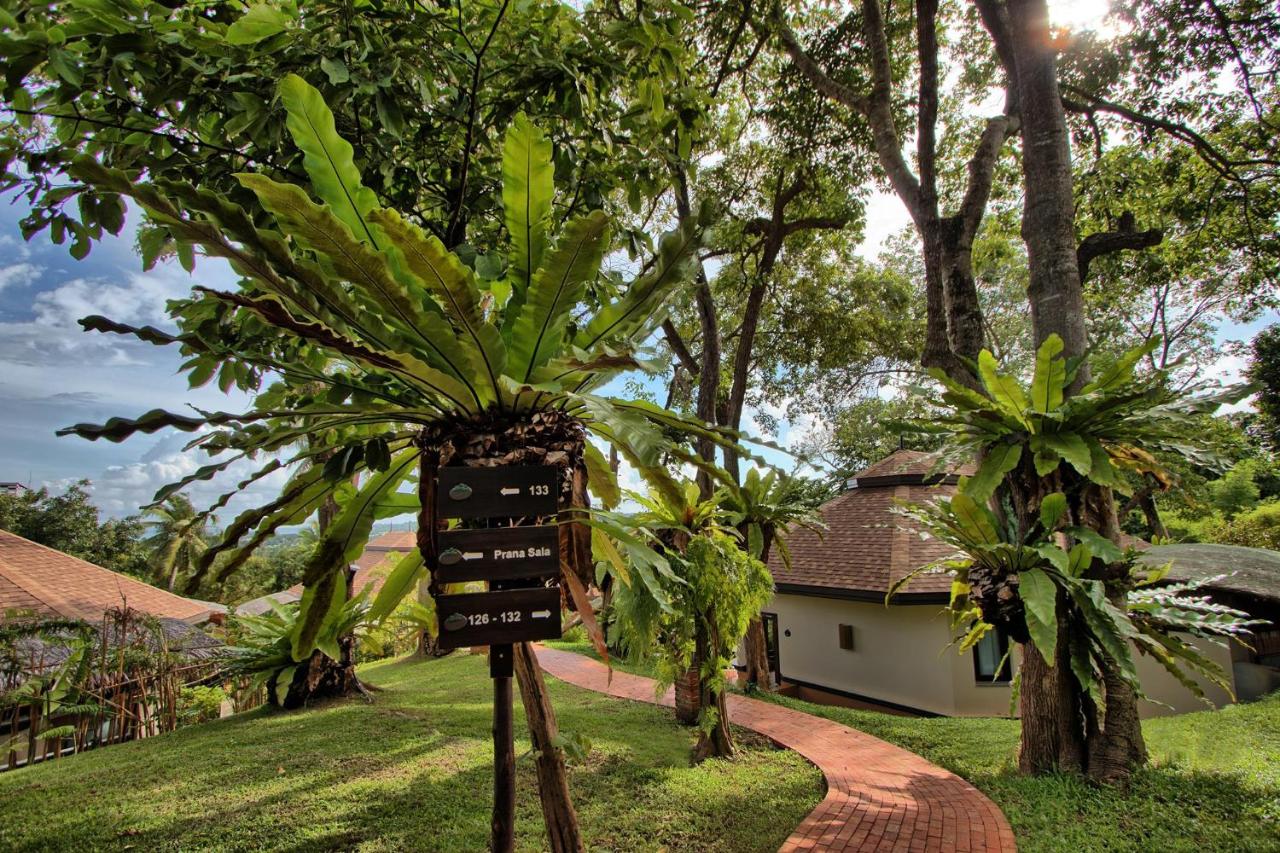 Mangosteen Ayurveda & Wellness Resort