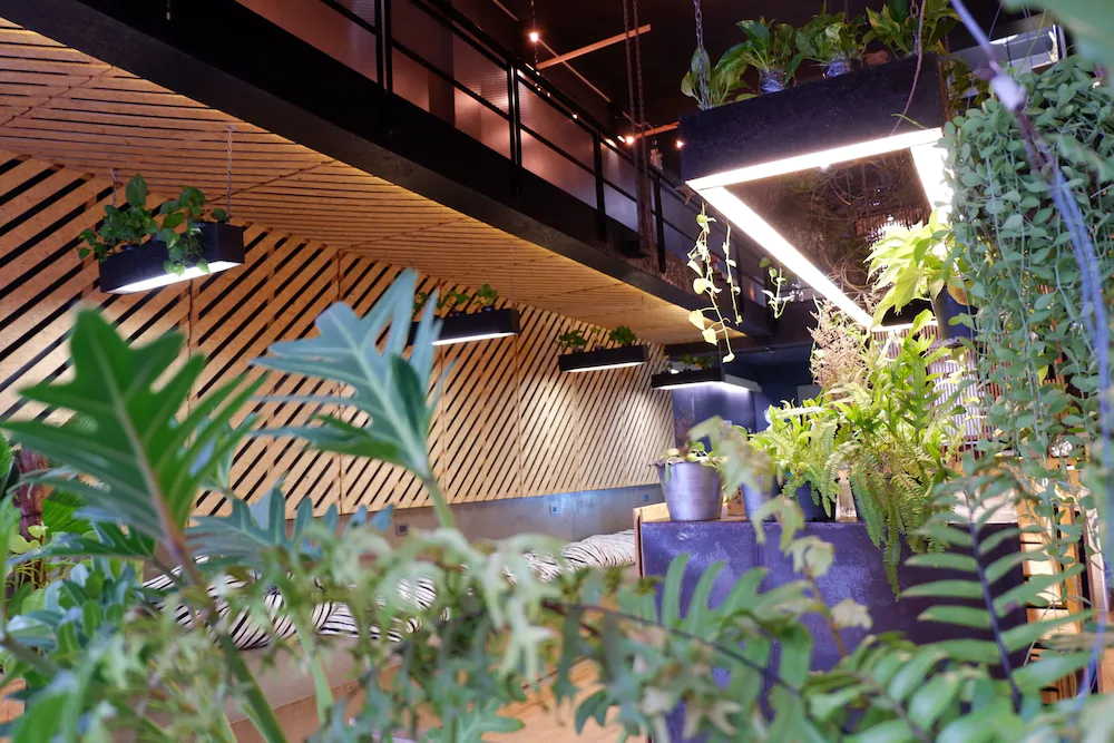Hugger Hostel
