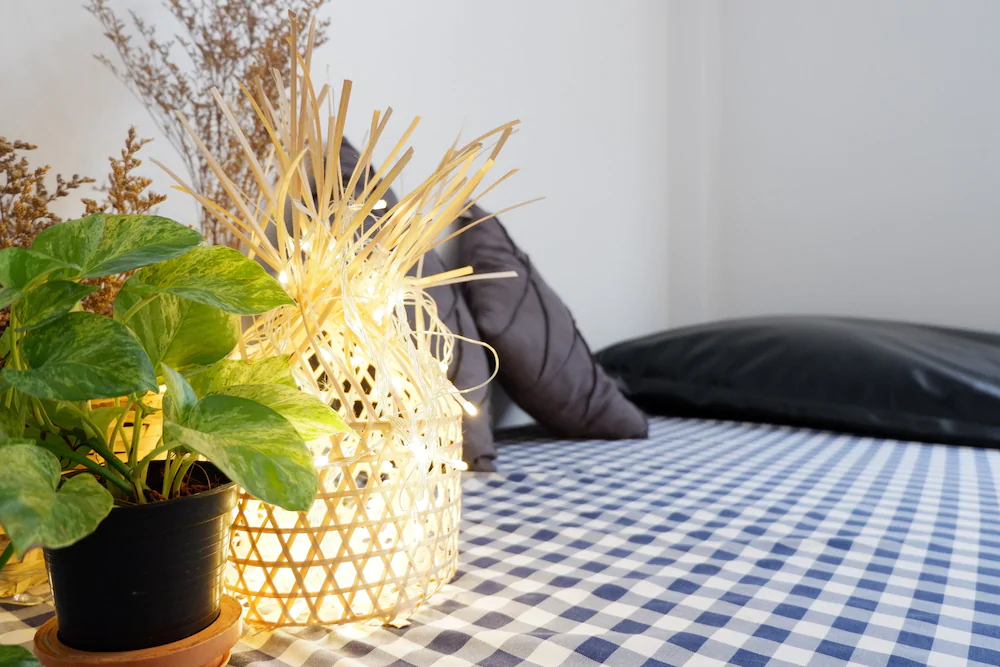 Hugger Hostel