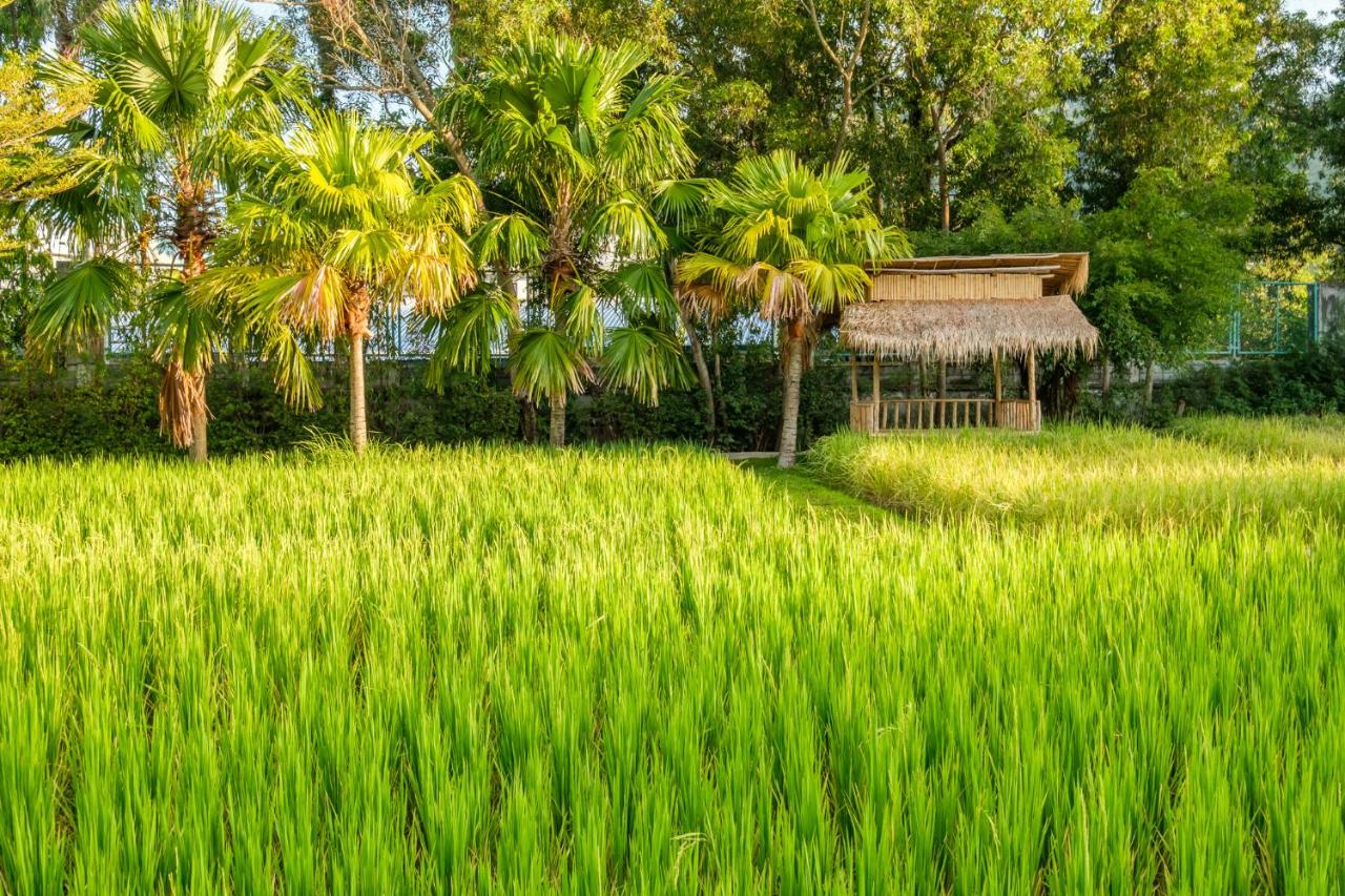 Naina Resort & Spa