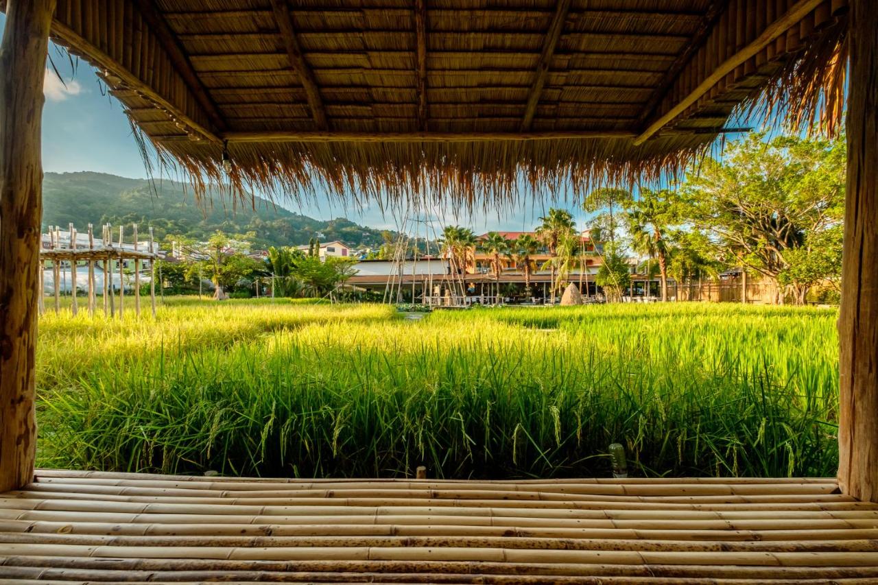 Naina Resort & Spa