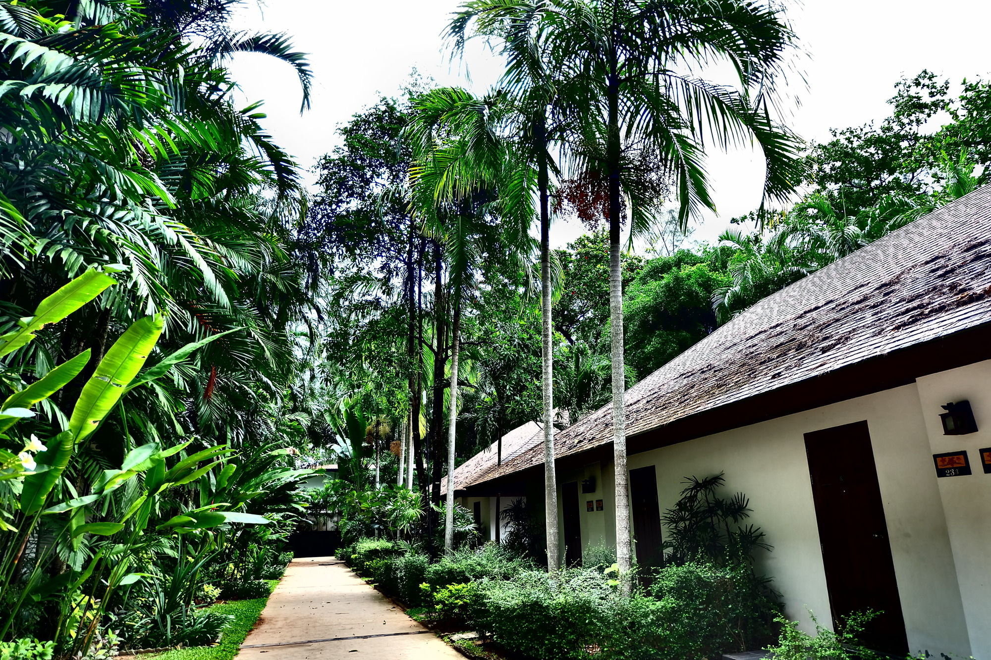 Nai Yang Beach Resort