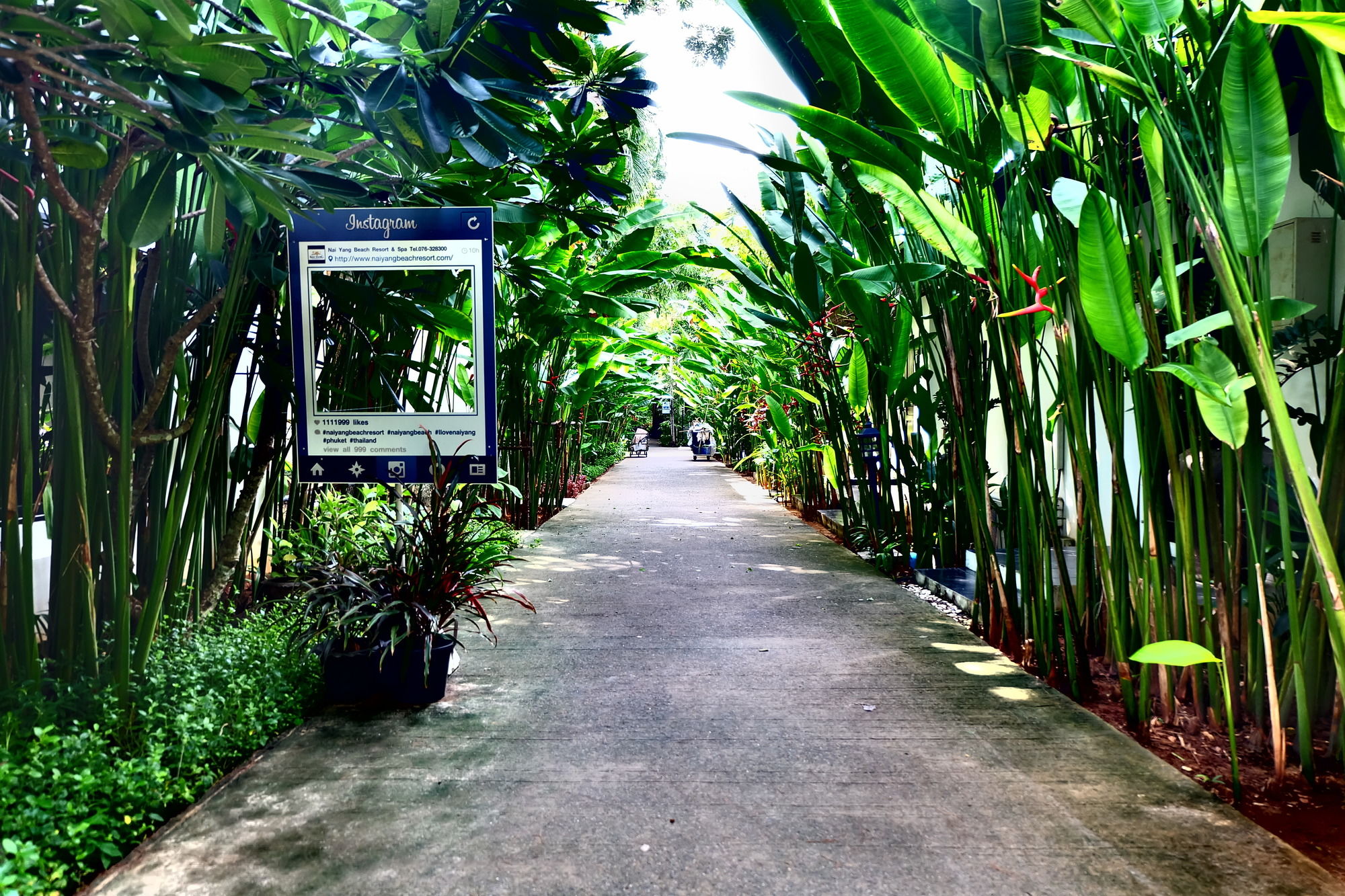 Nai Yang Beach Resort