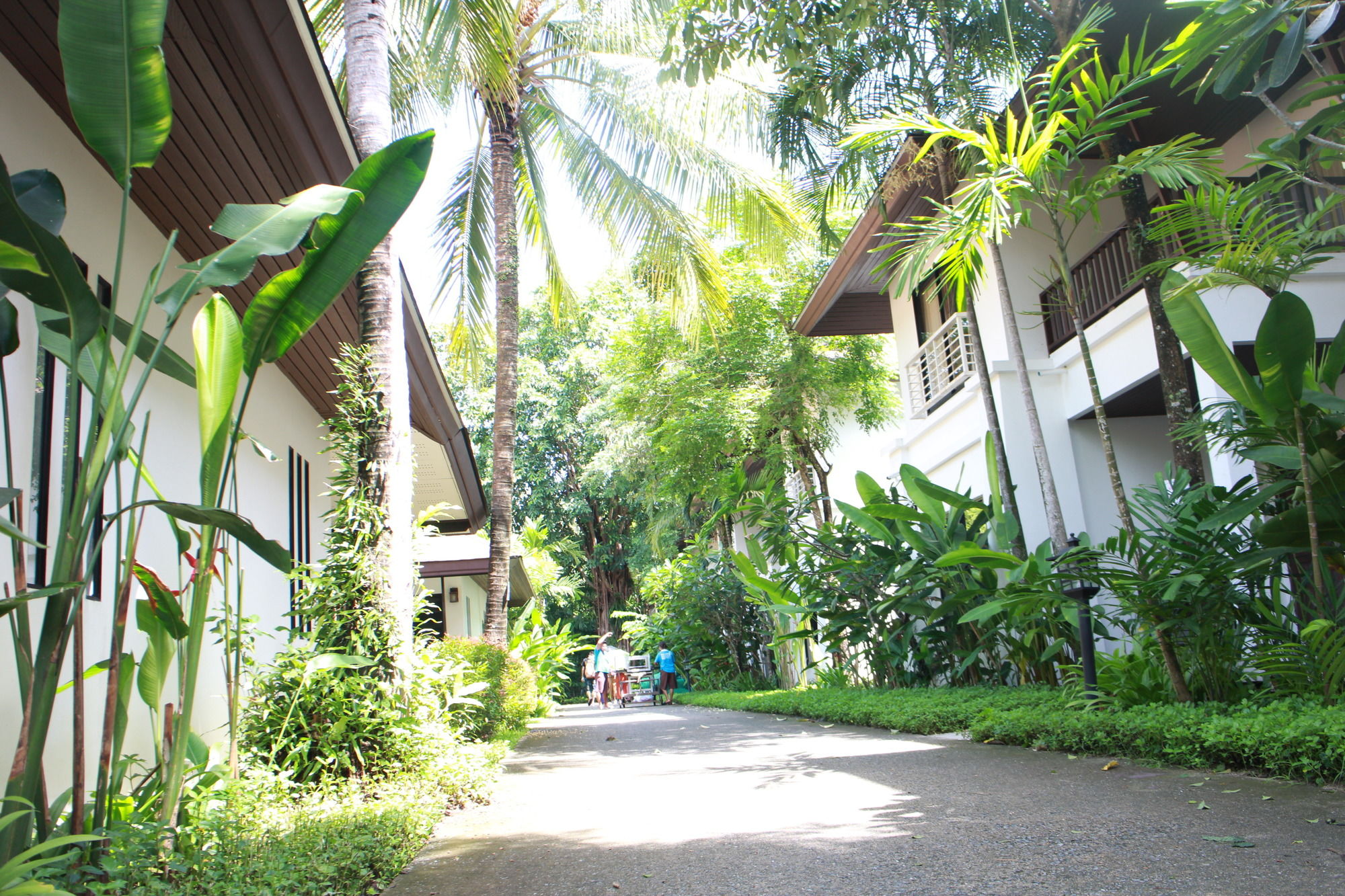 Nai Yang Beach Resort