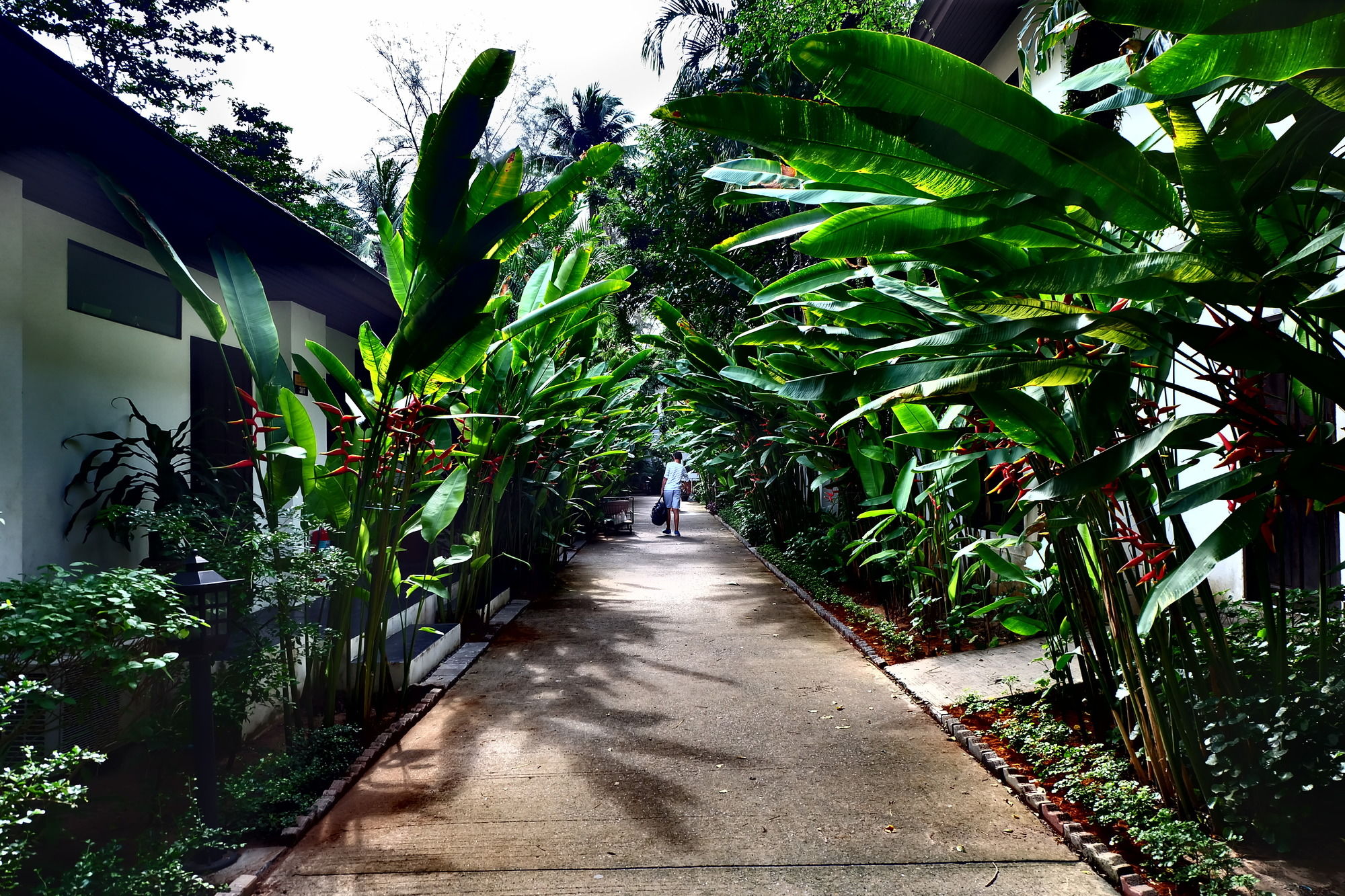 Nai Yang Beach Resort