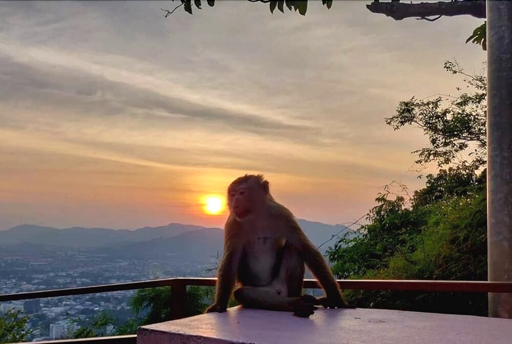 Pakta Phuket