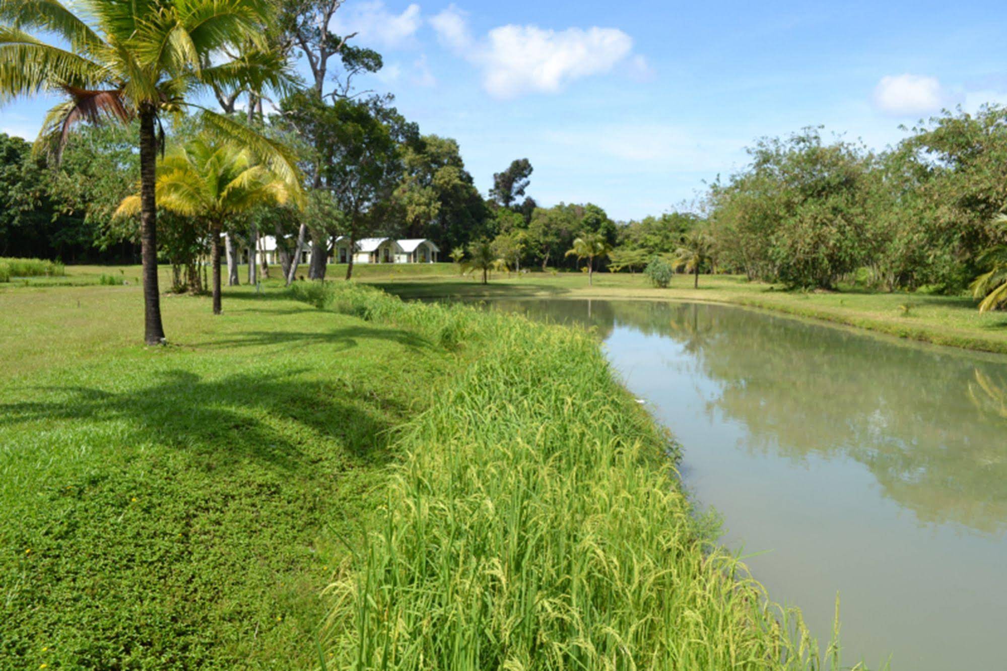 Phuket Campground