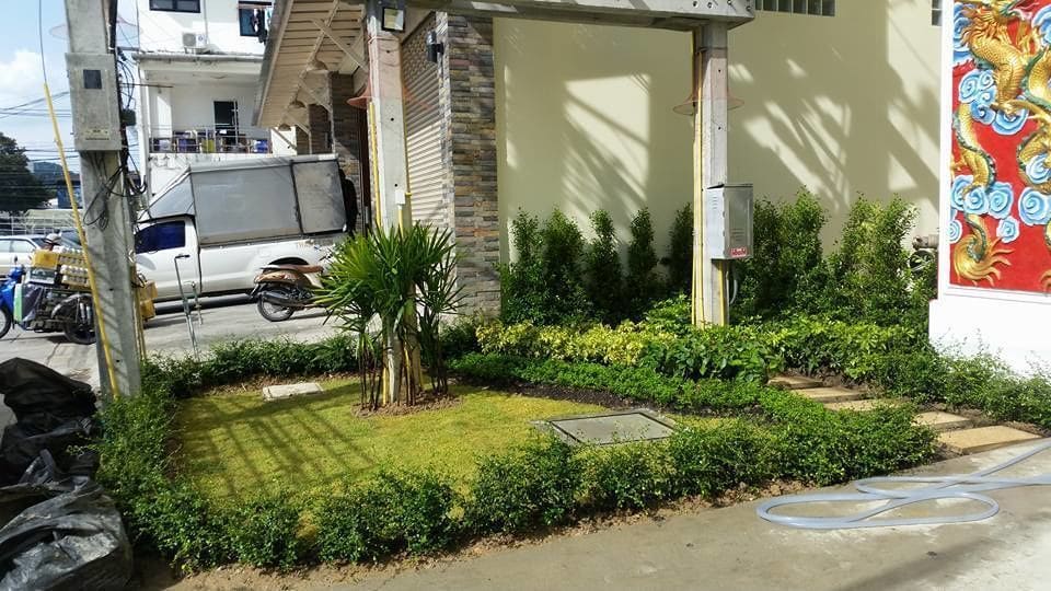 Phuket chinoinn Hotel