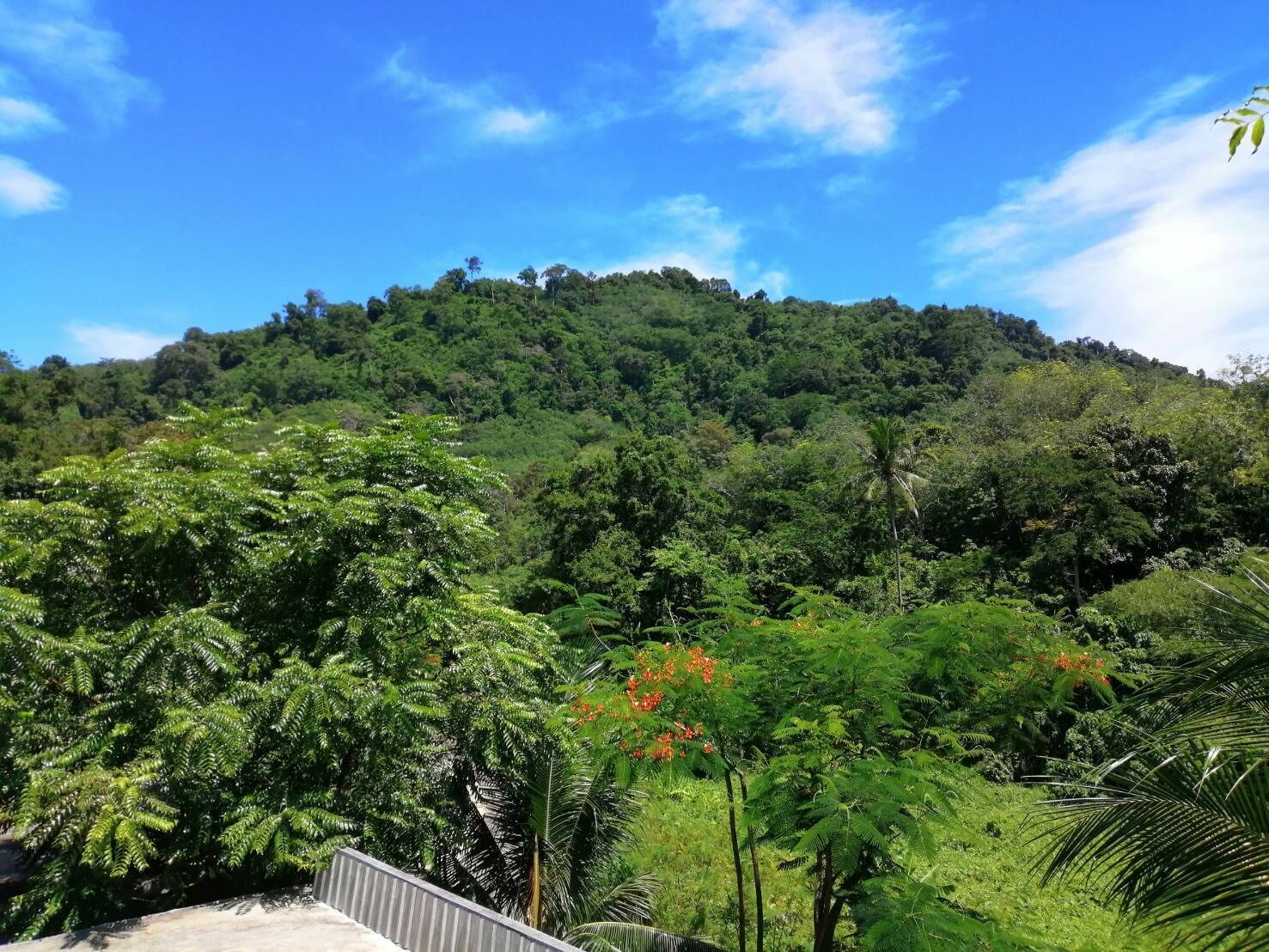 Phuchada Residence