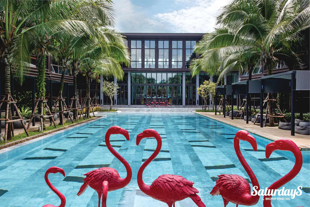 Saturdays Residence By Brown Starling