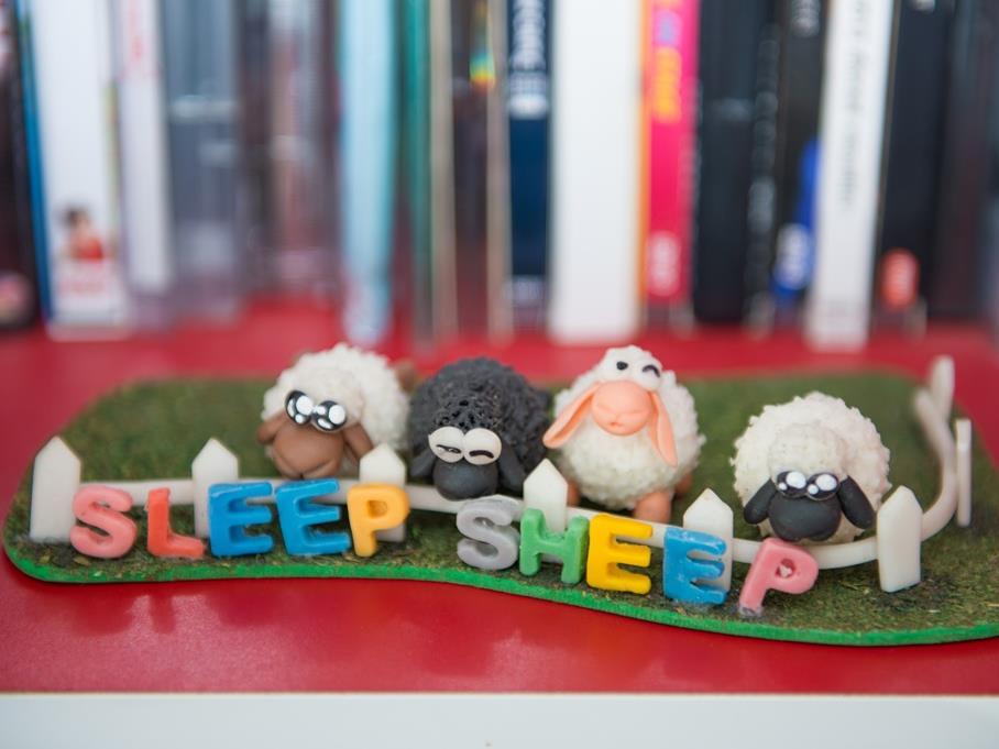 Sleep Sheep Phuket Hostel