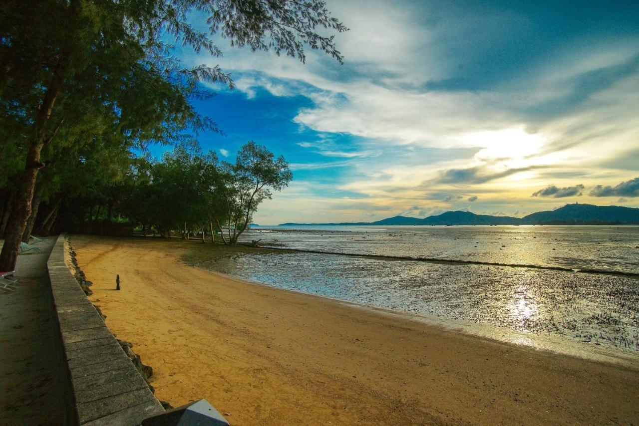 The Mangrove by Blu Monkey