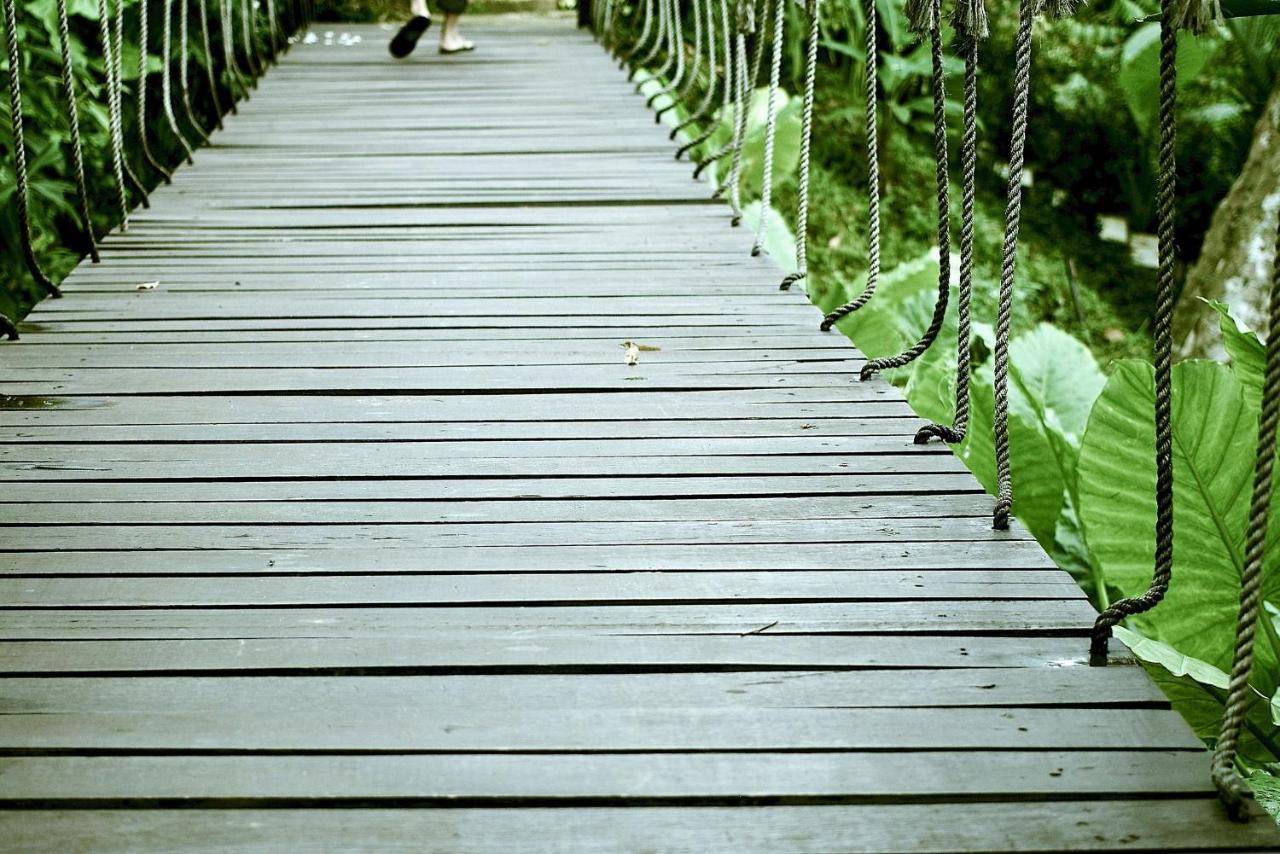 The Mangrove by Blu Monkey