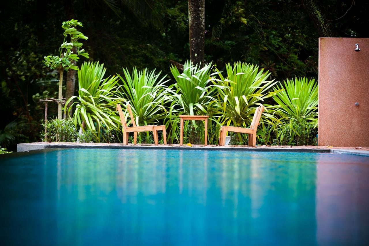 The Mangrove by Blu Monkey