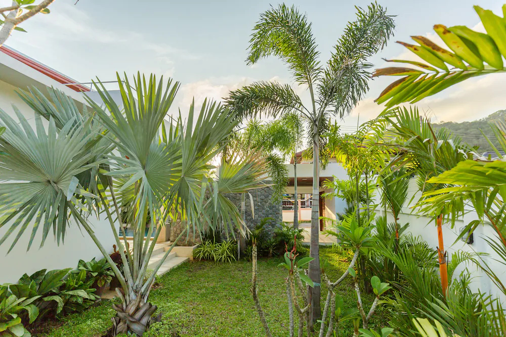 The Rooftop by Jetta