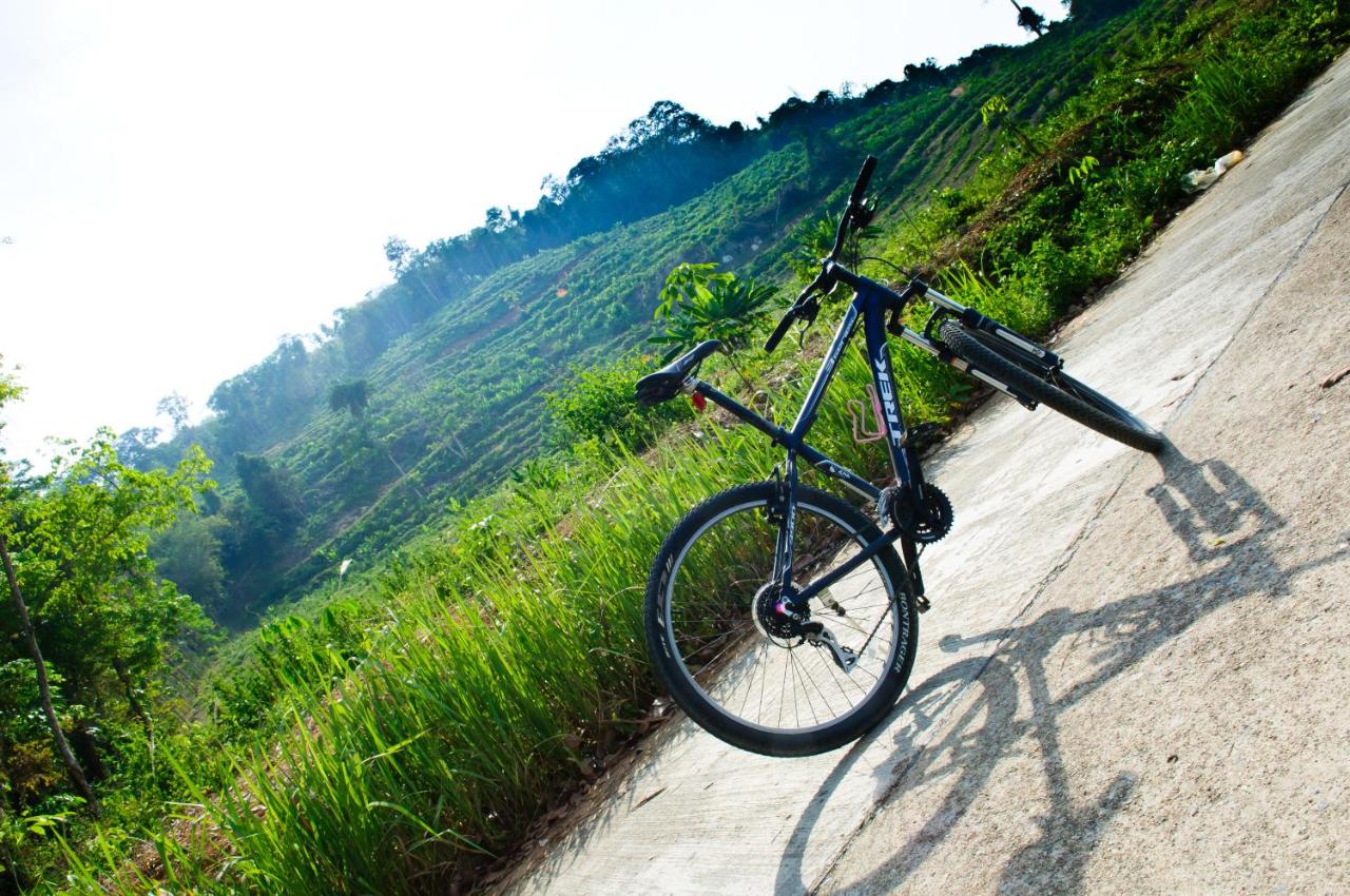 Barceló Coconut Island