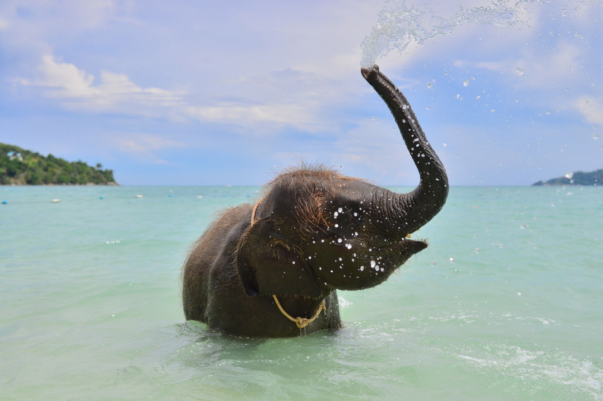 Tri Trang Beach Resort