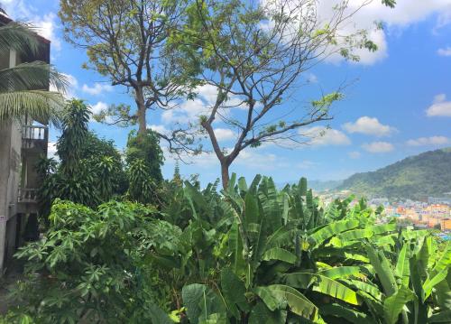 JZ Patong