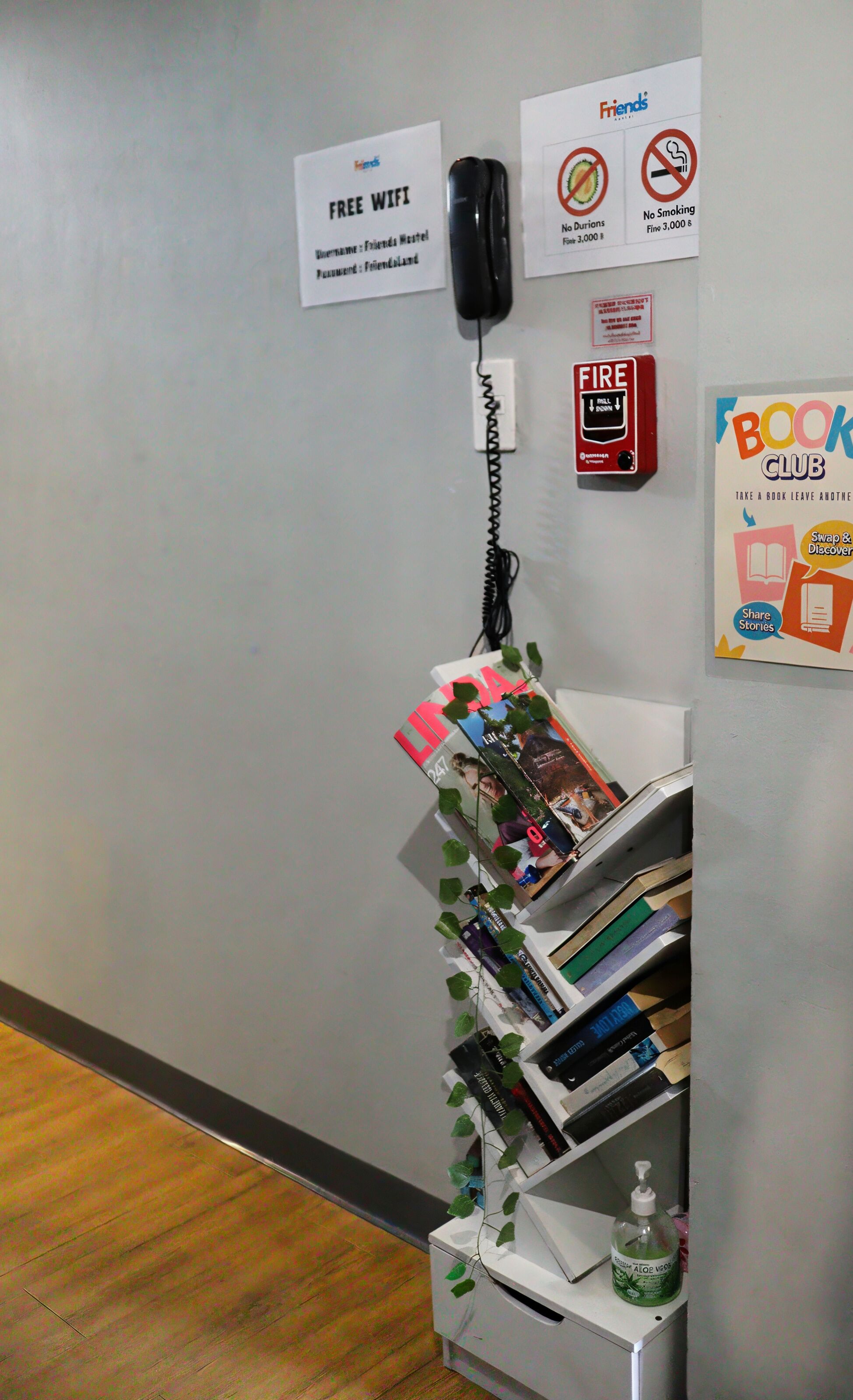 Friends Hostel