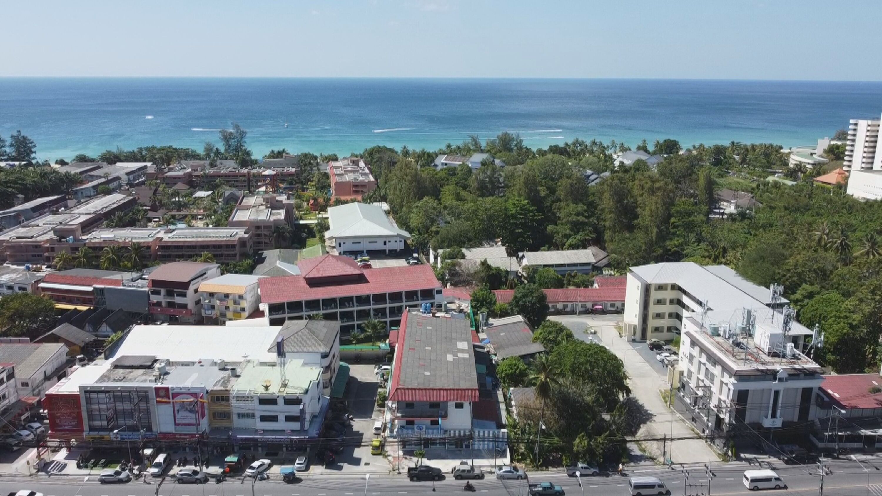 Palmetto Condominium