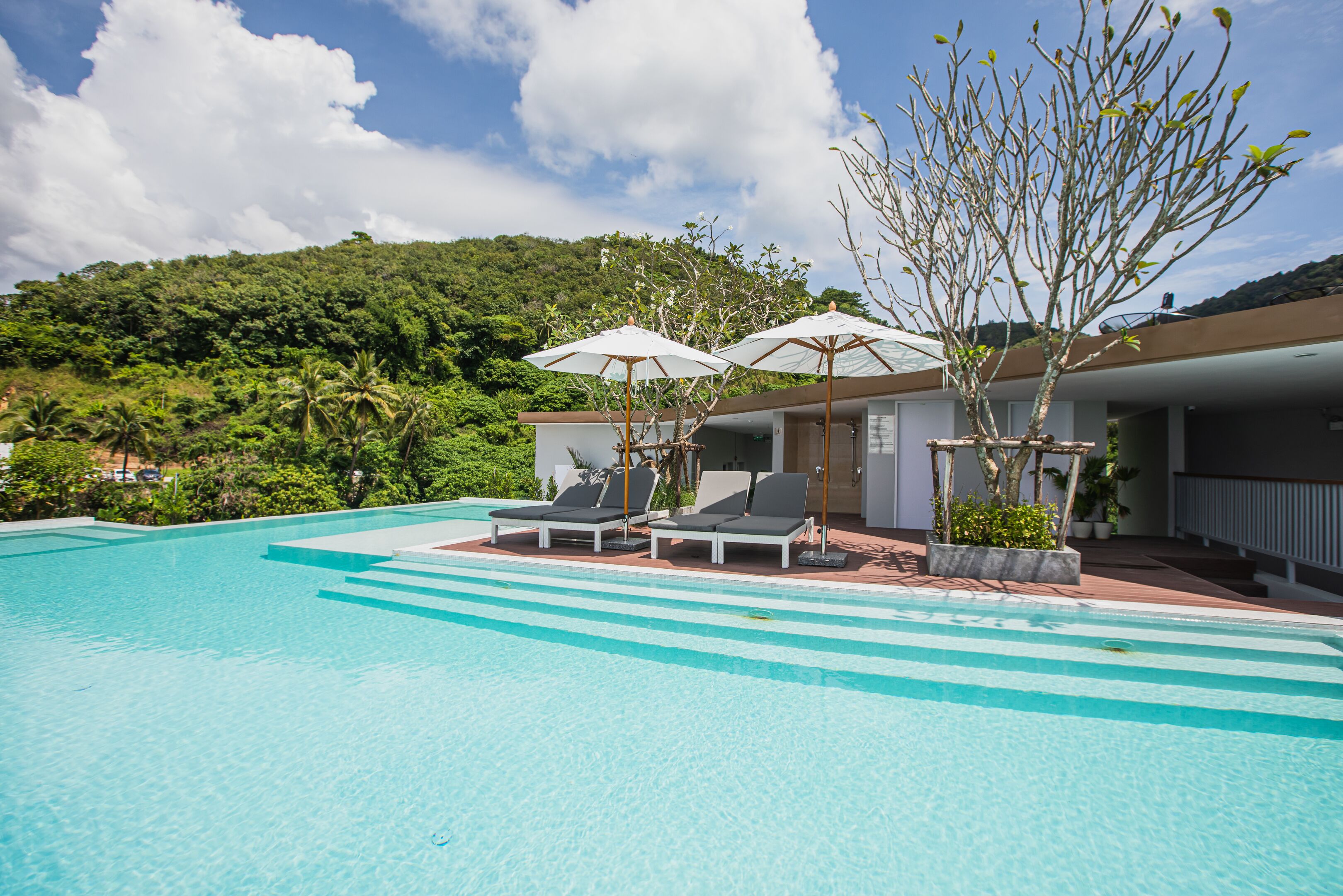 Palmetto Condominium