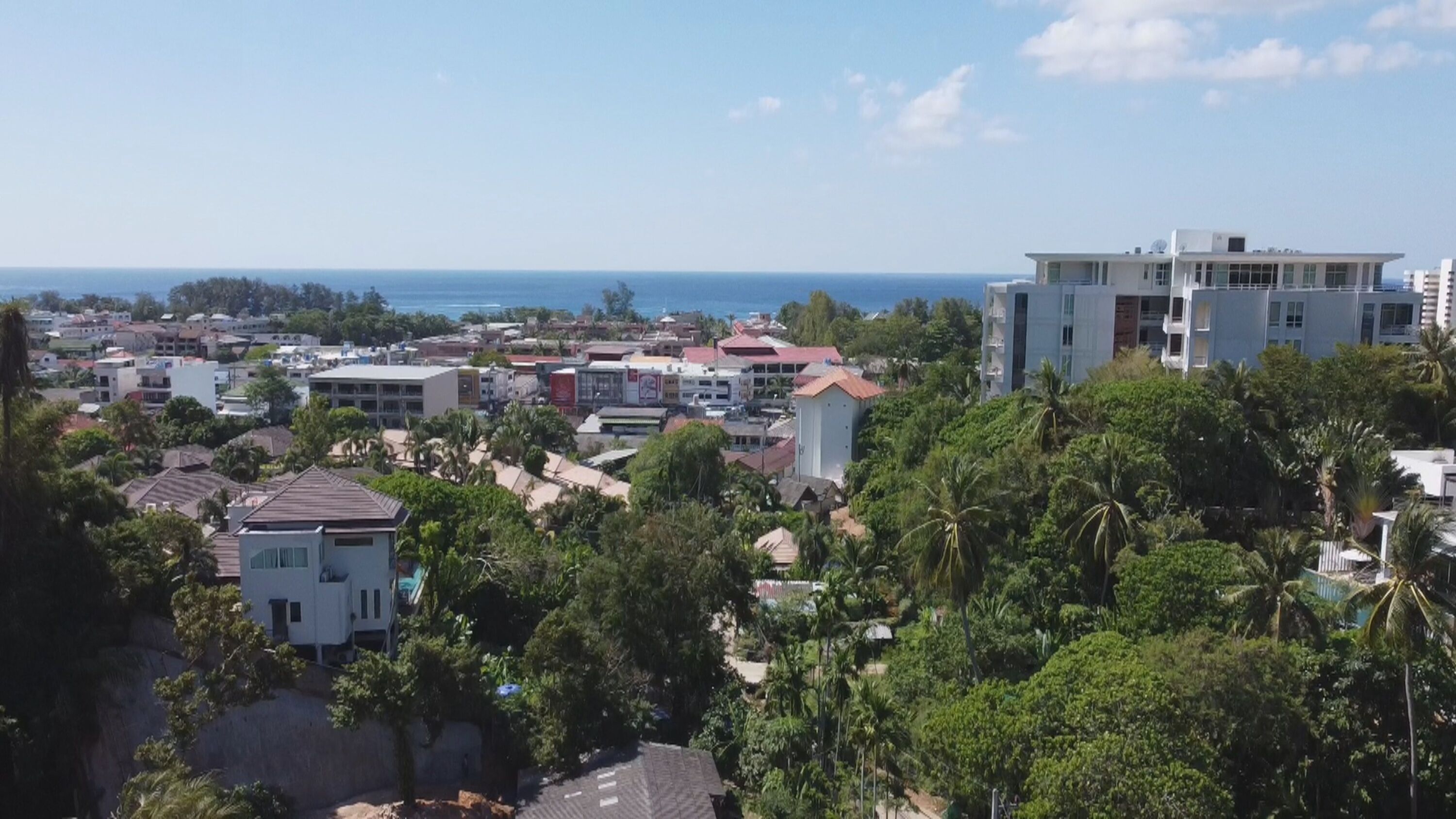 Palmetto Condominium