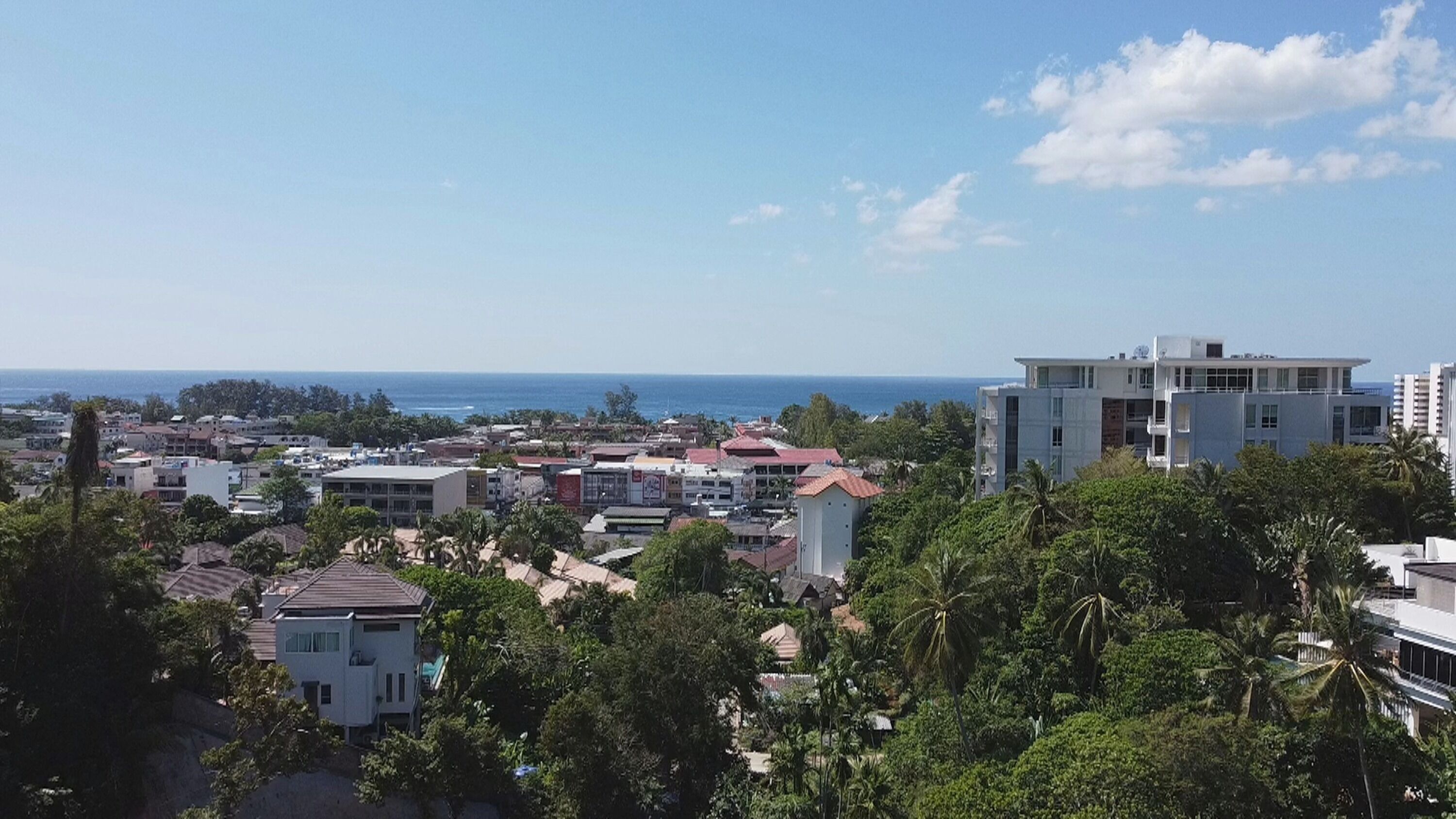 Palmetto Condominium