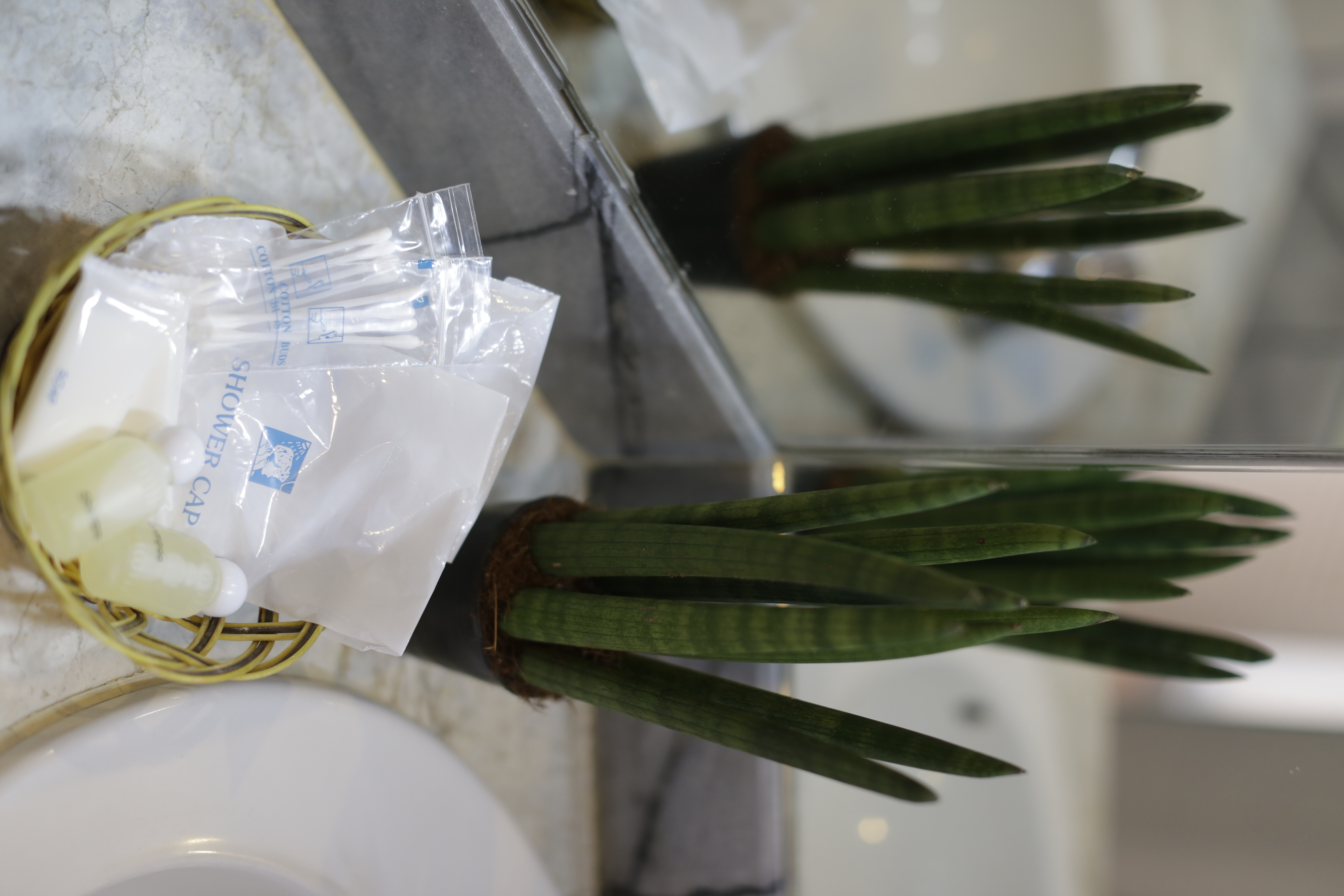 Patong Beachfront Boutique Hotel