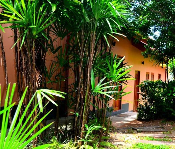 Happy Elephant Resort