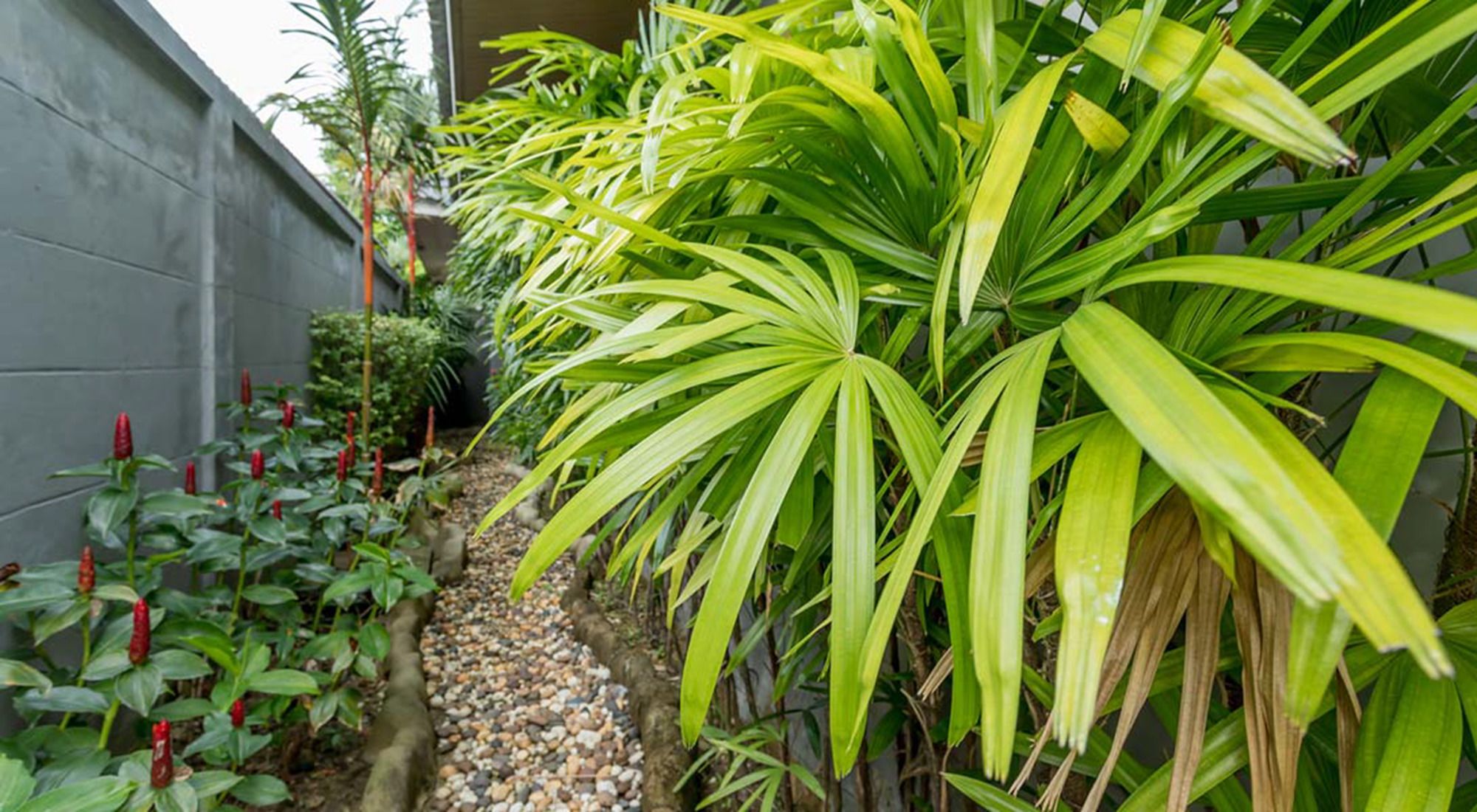 Naya Palm Villas
