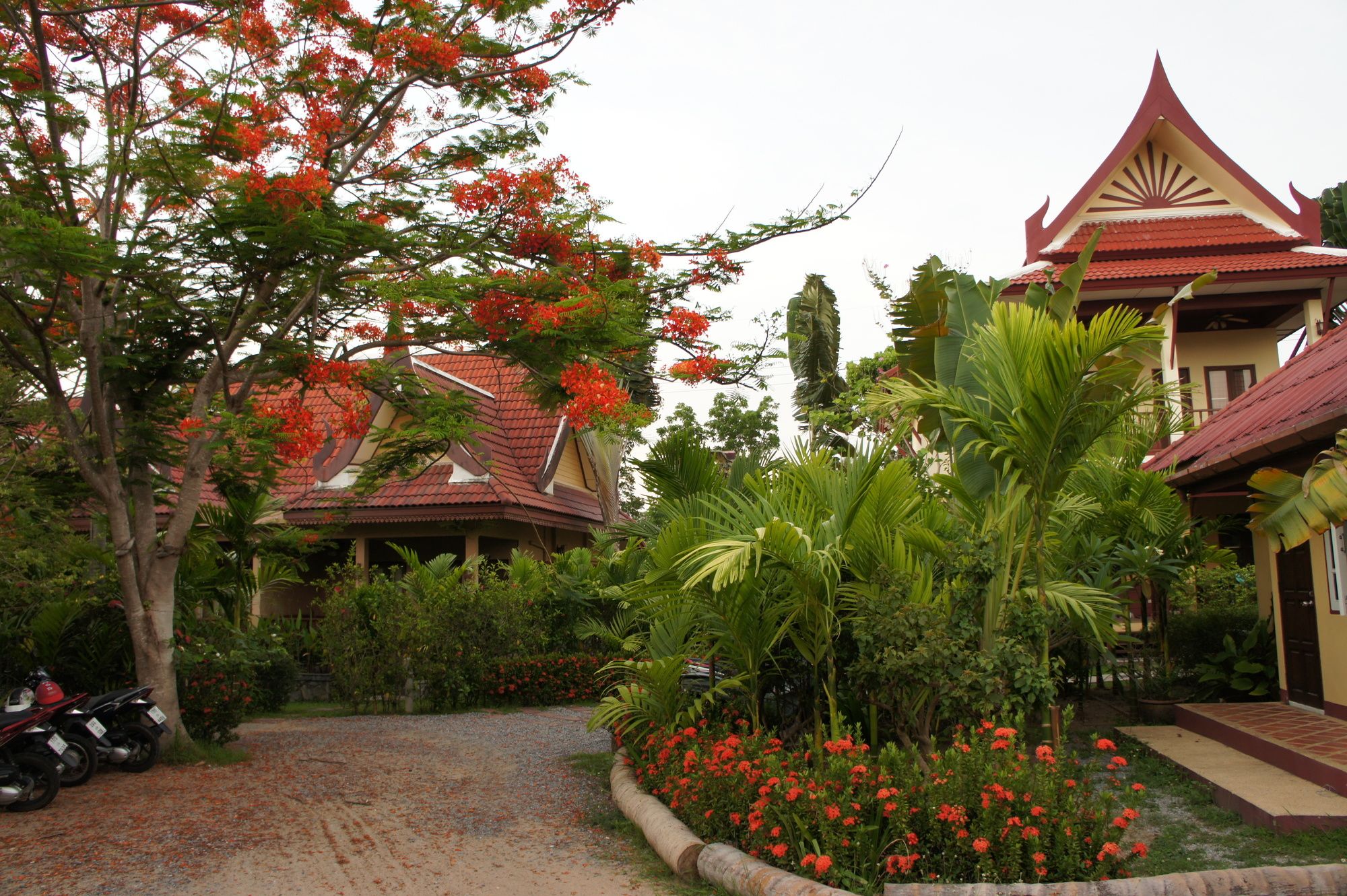 Palm Village
