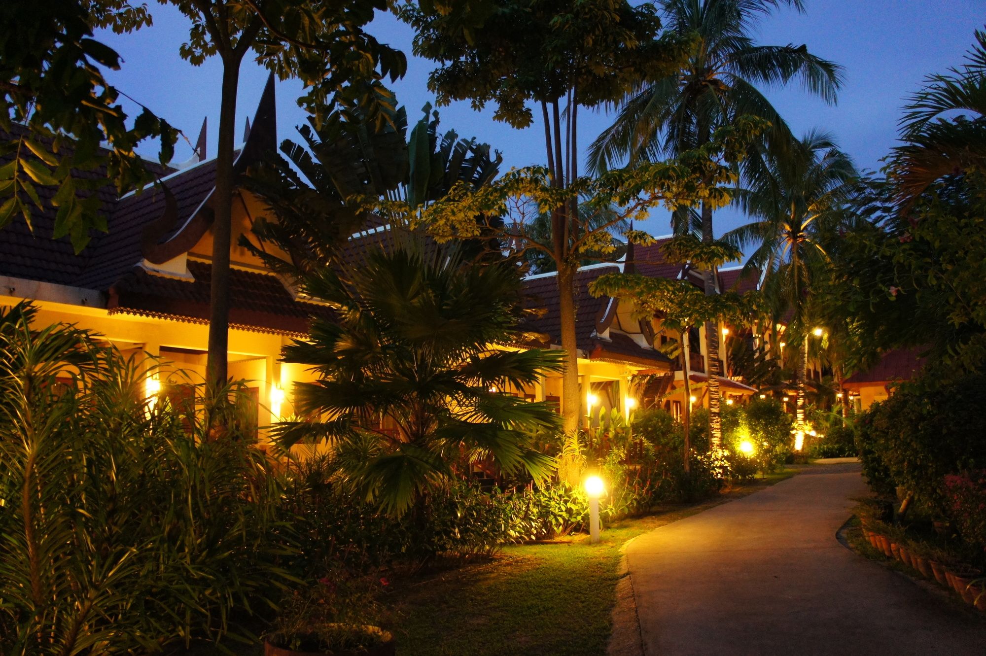 Palm Village
