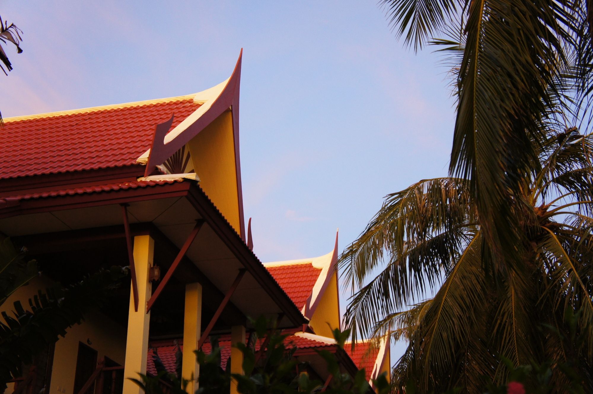Palm Village