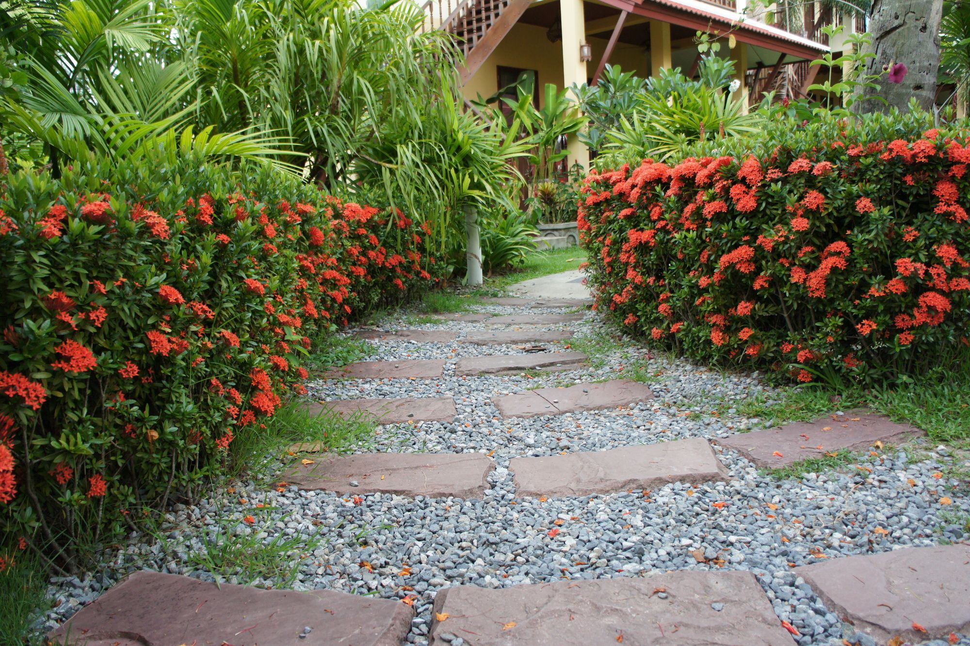 Palm Village