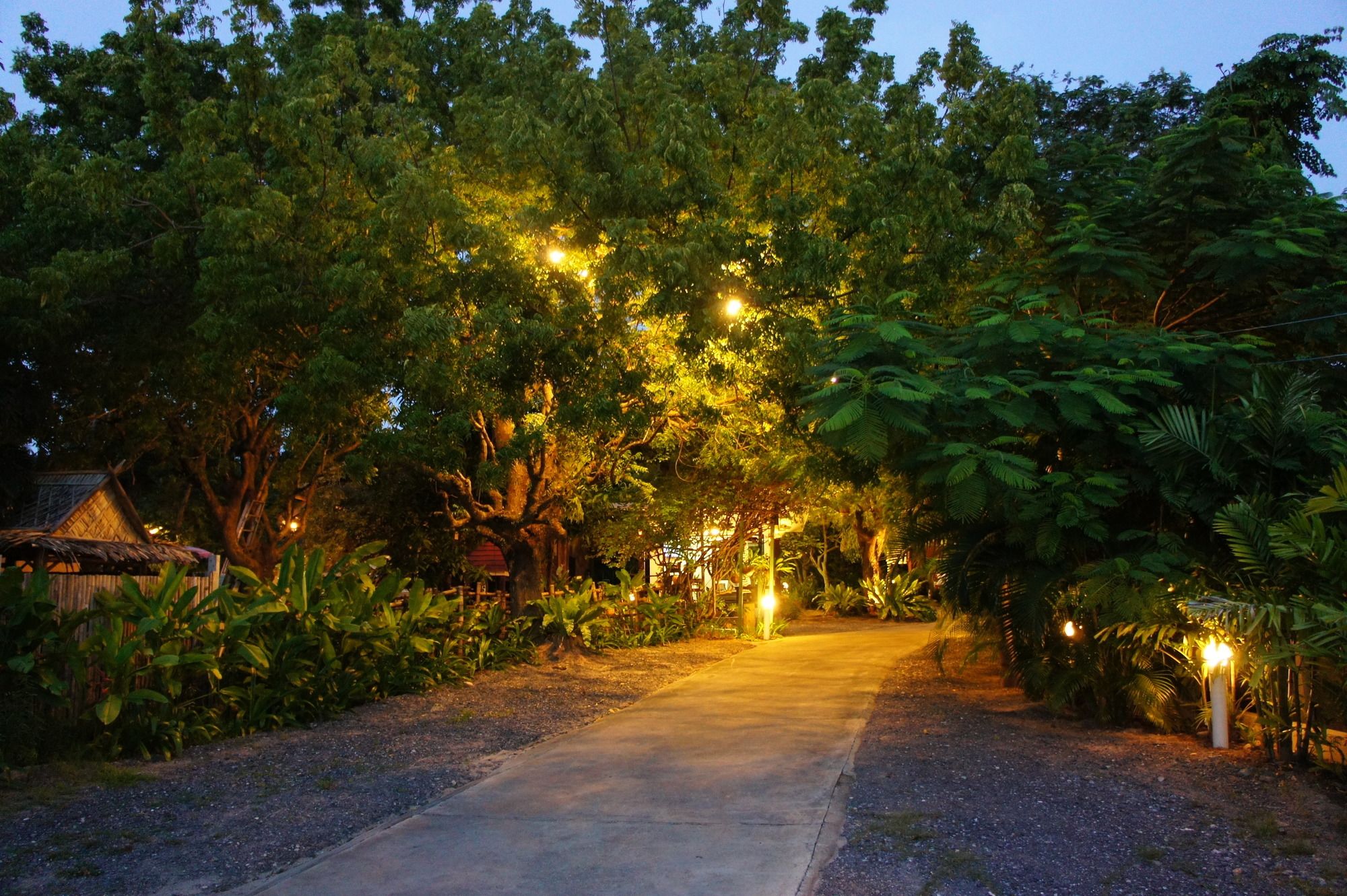 Palm Village