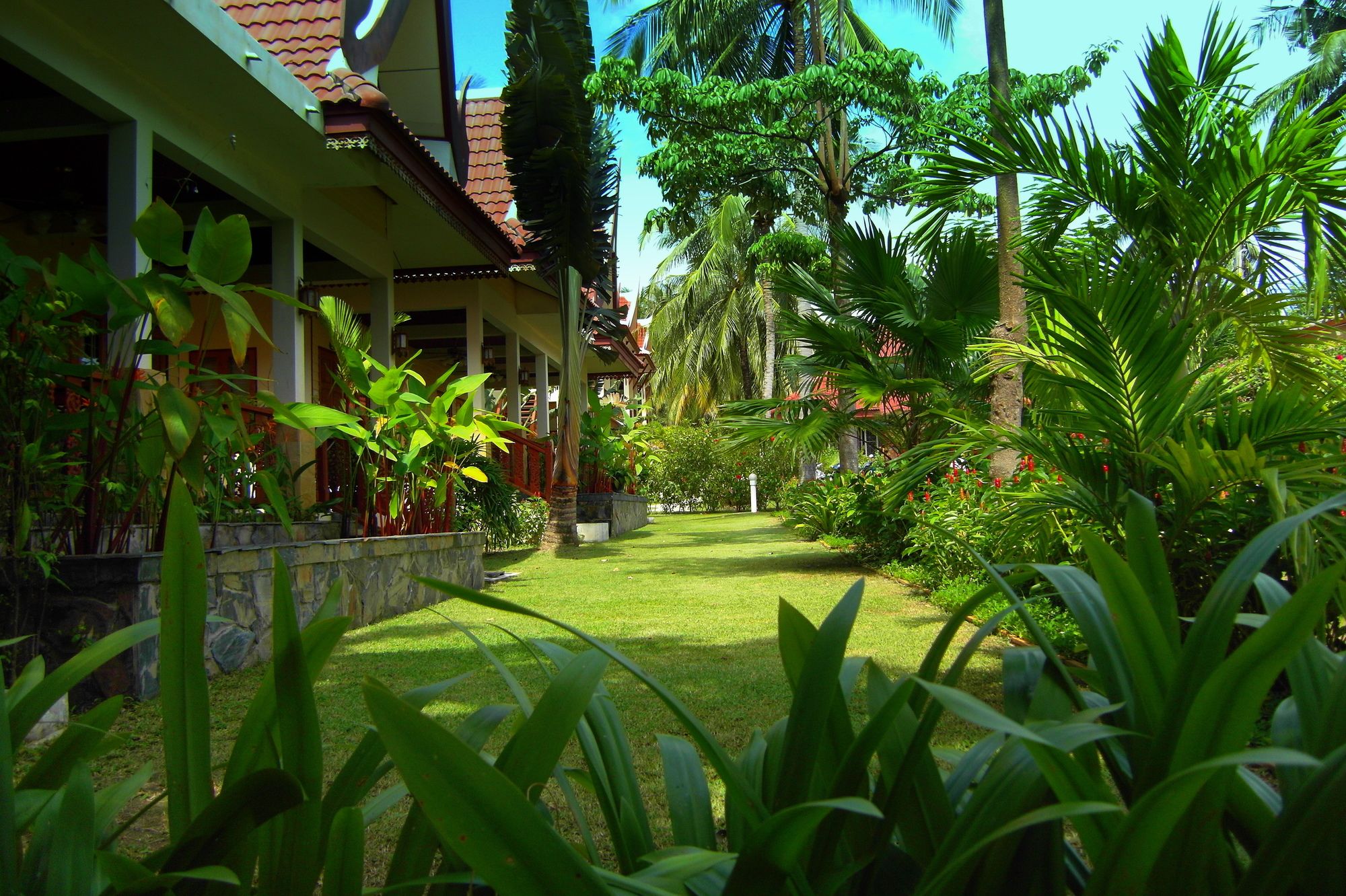 Palm Village