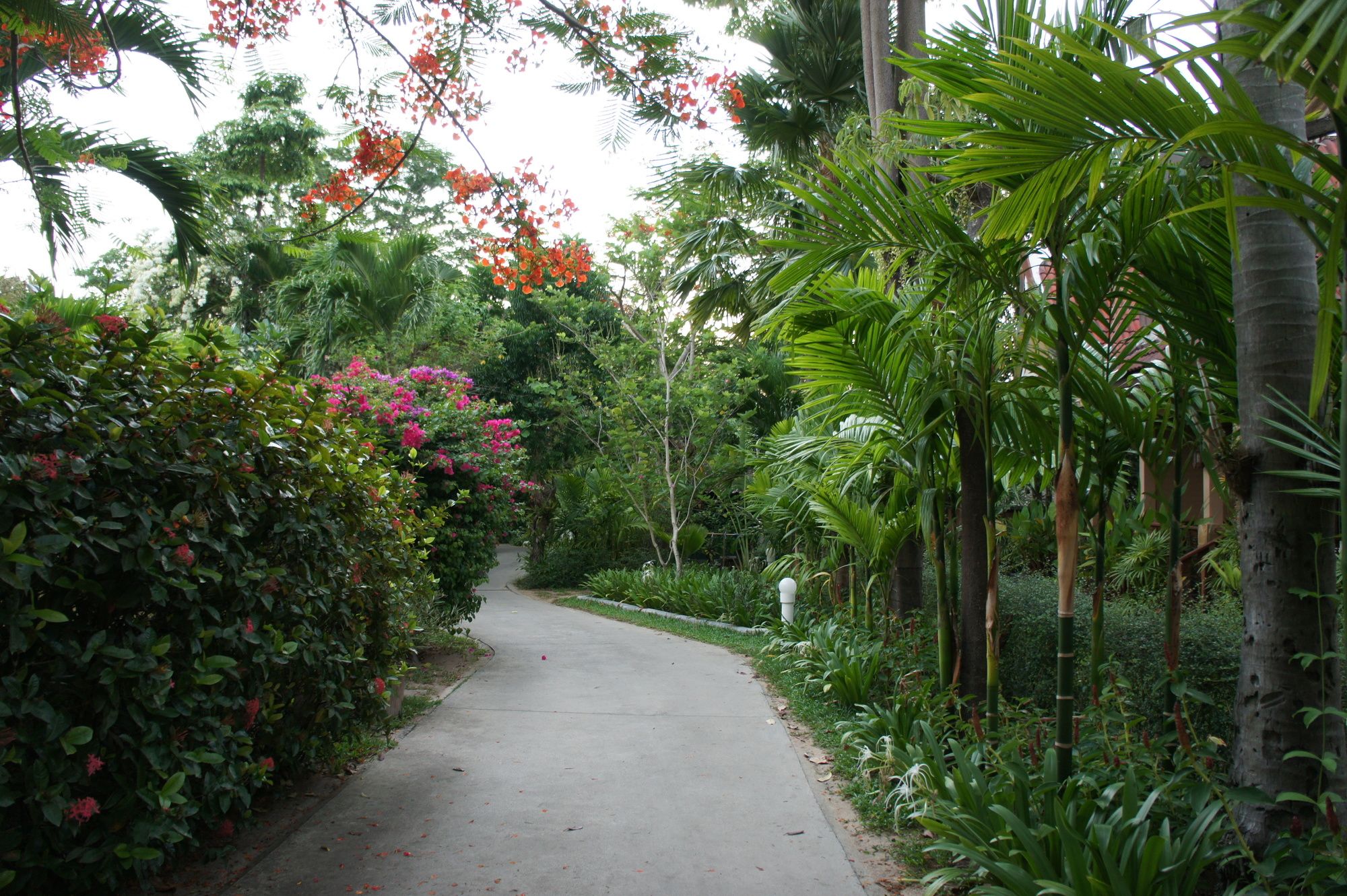 Palm Village