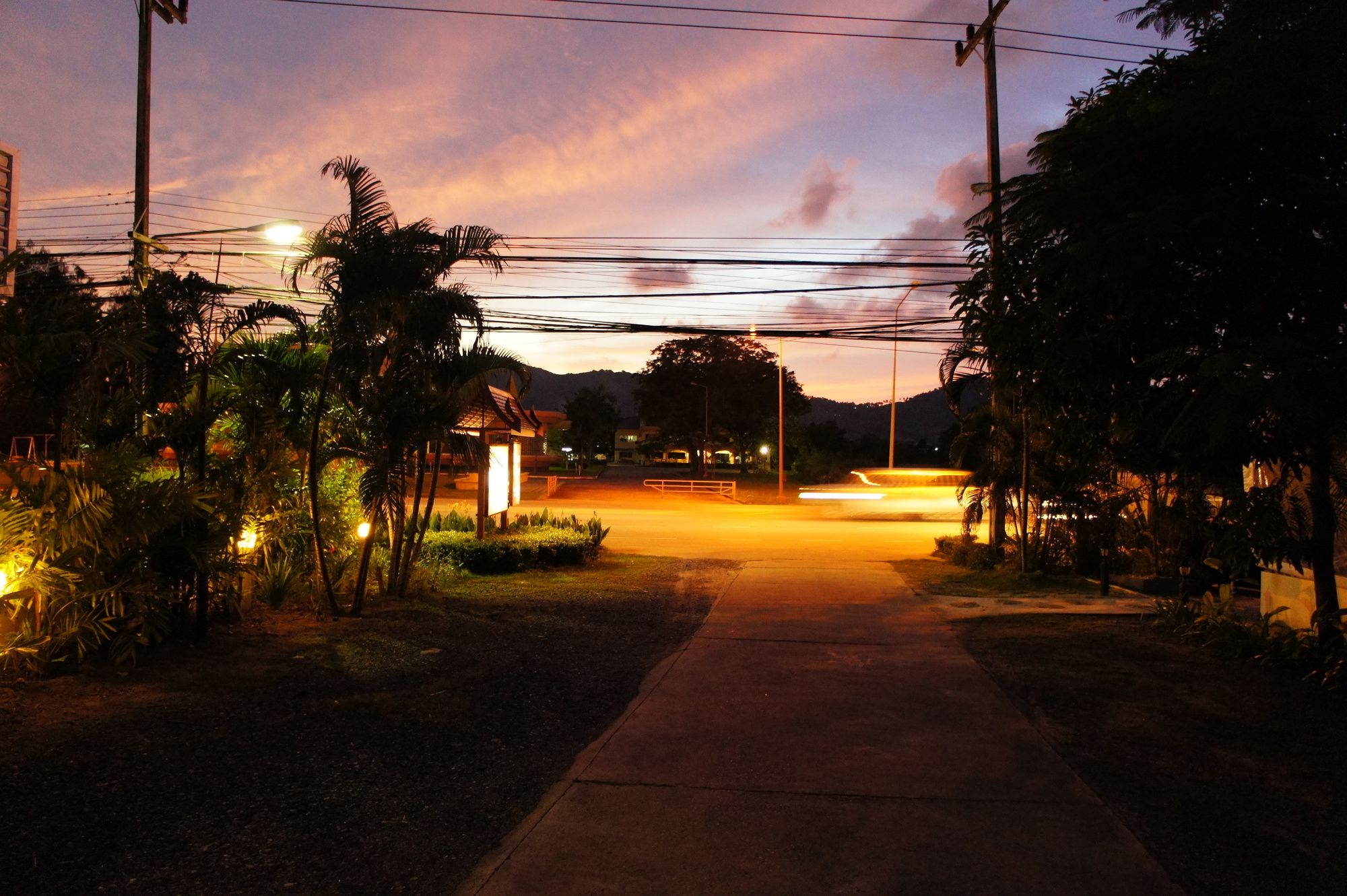 Palm Village