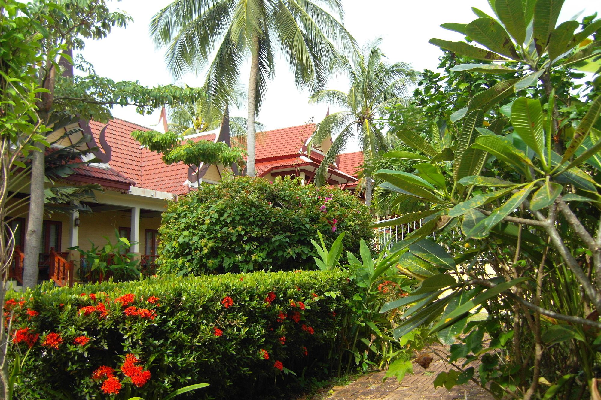 Palm Village