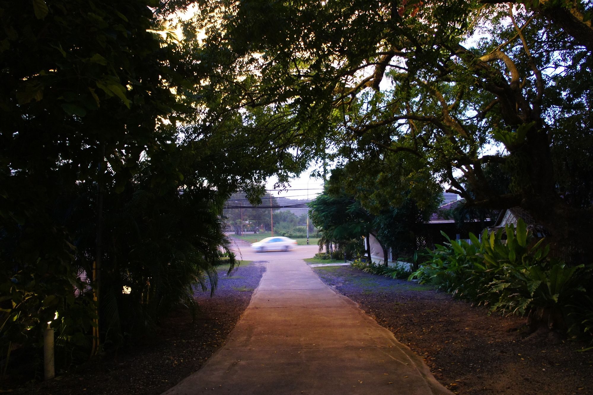 Palm Village