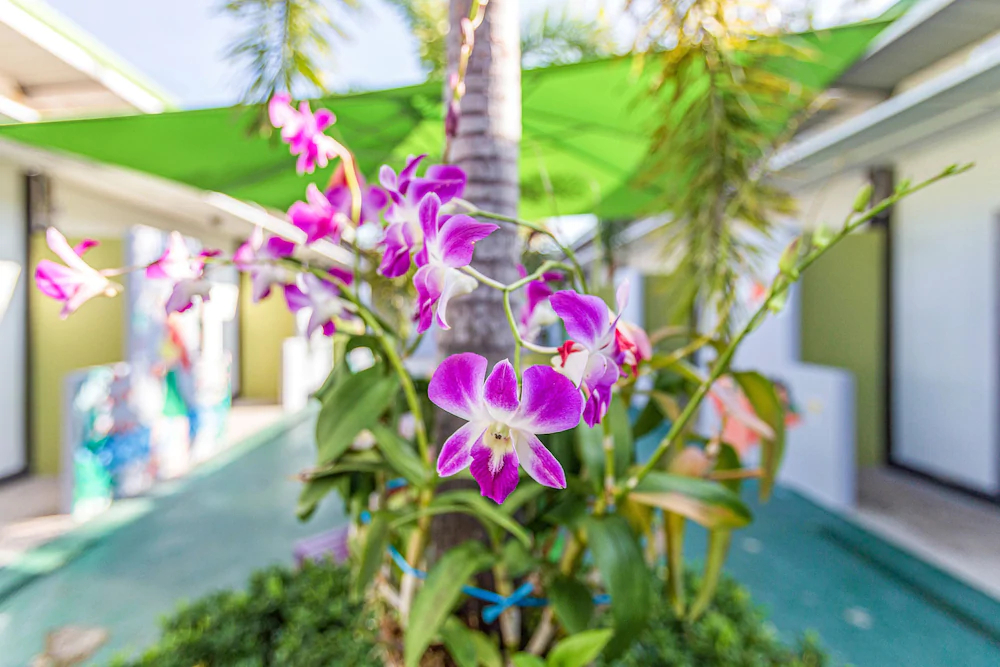 Rawai Studios Resort by OYO Rooms