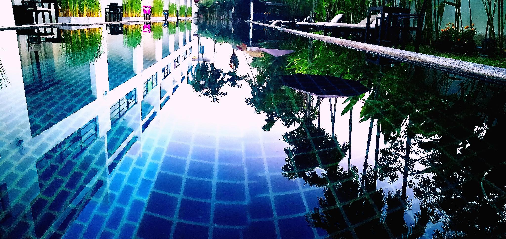 Tea Tree Resort