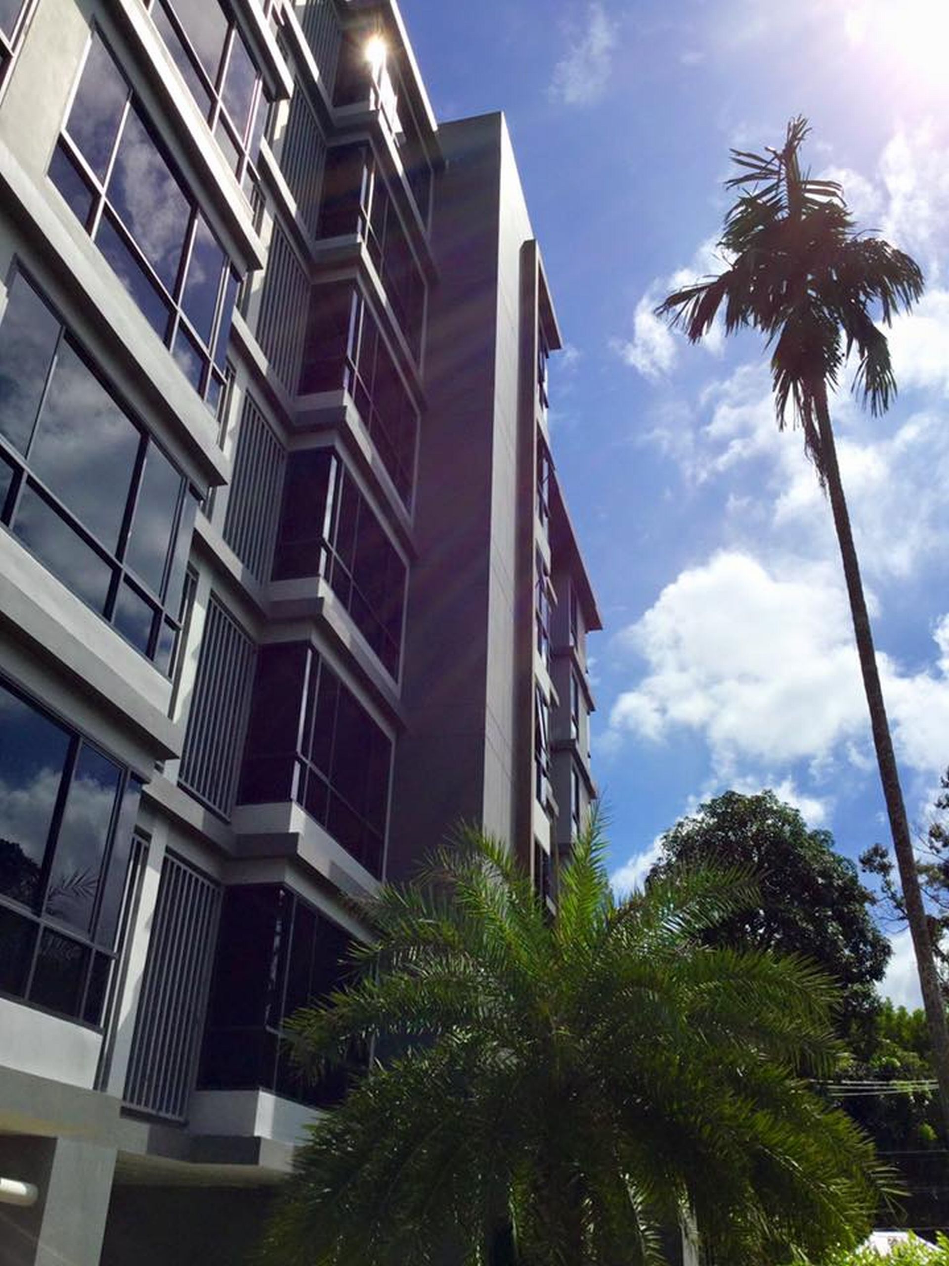 Hotel Hill Myna Condotel