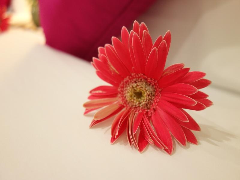 Phuket Airport Villa