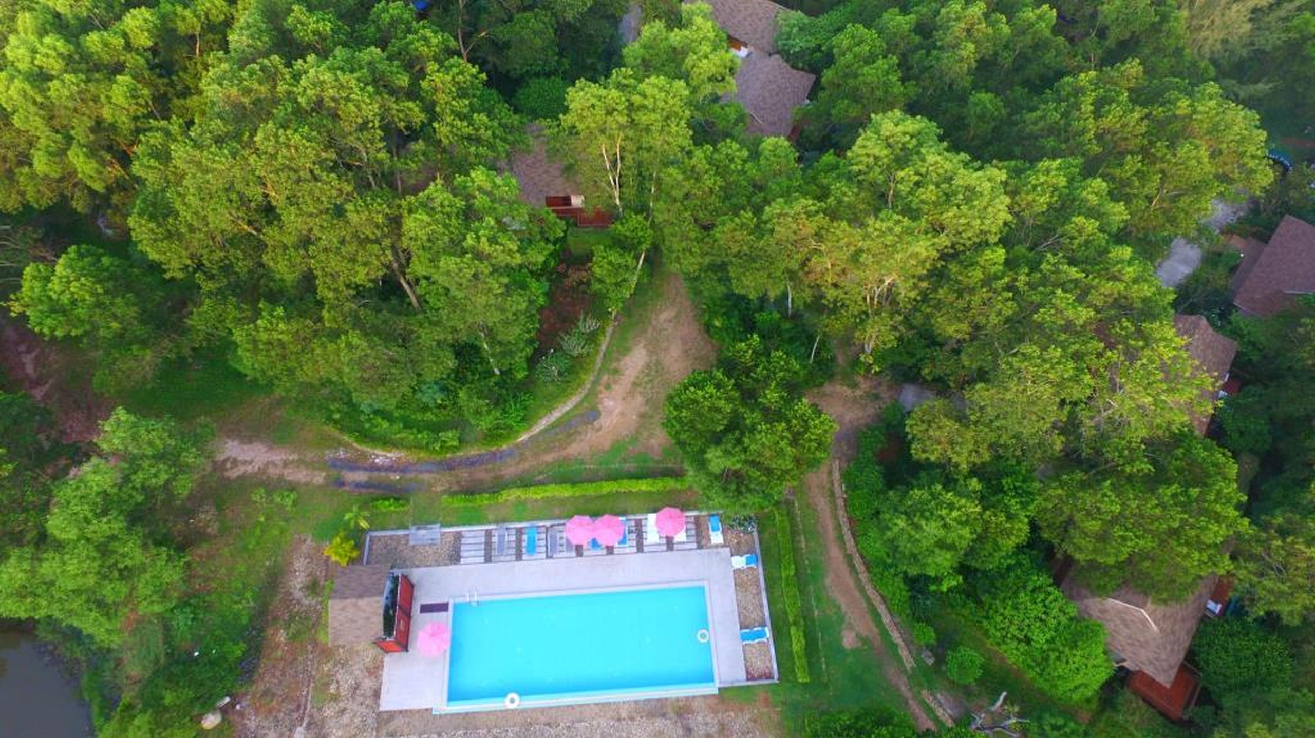 The Touch Green, Naiyang