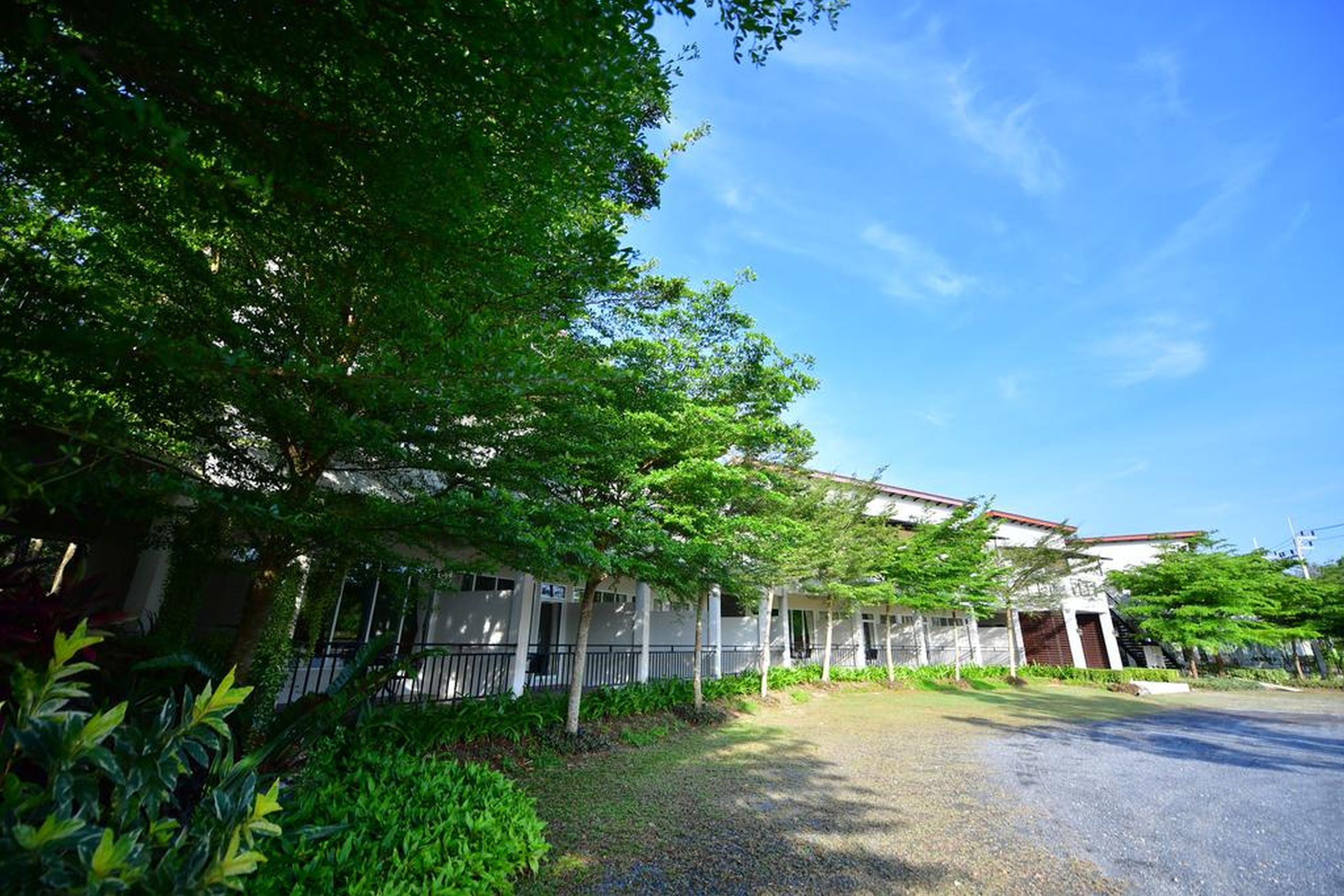 The Touch Green, Naiyang